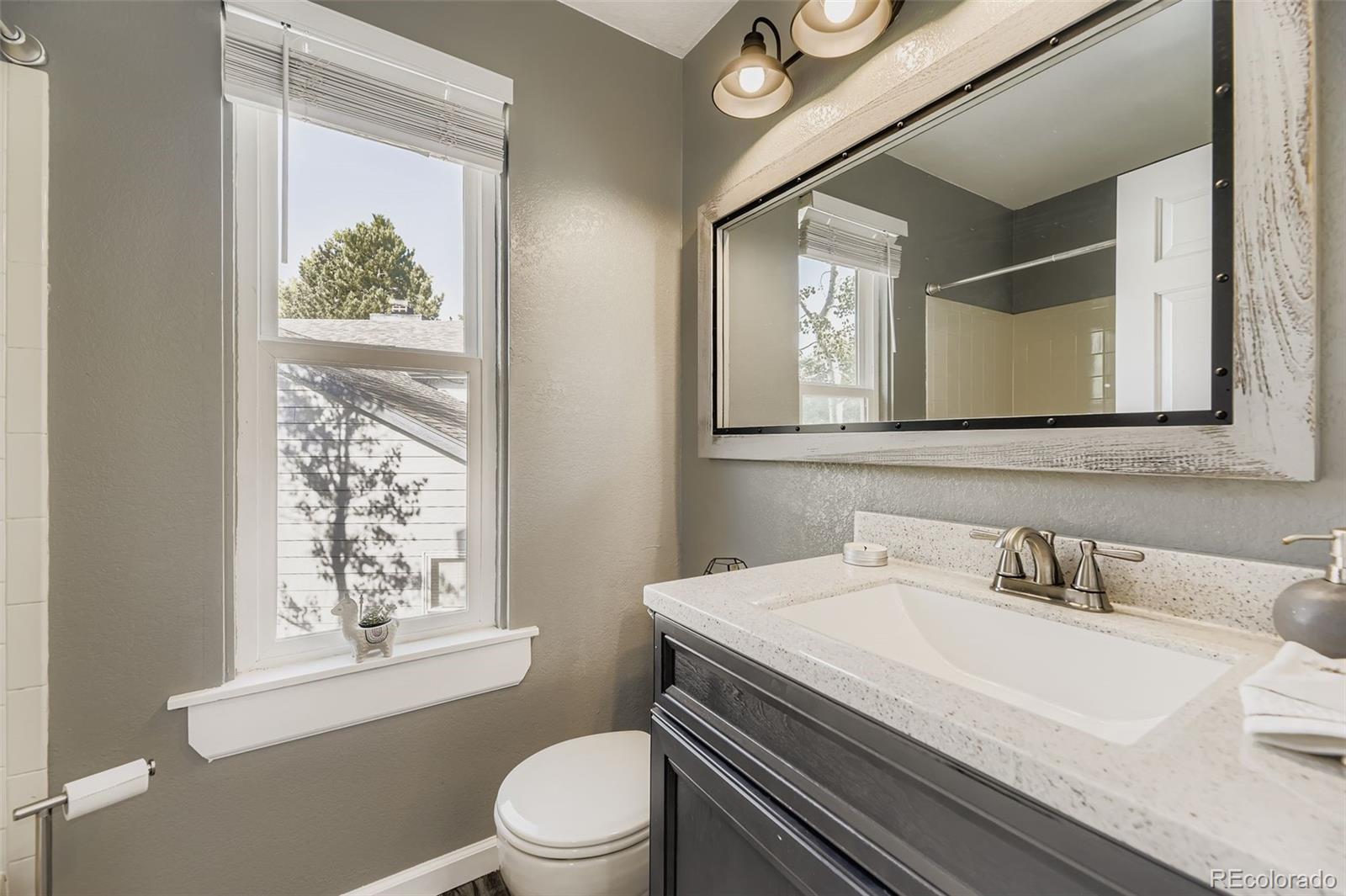 MLS Image #18 for 1072  northampton court,highlands ranch, Colorado