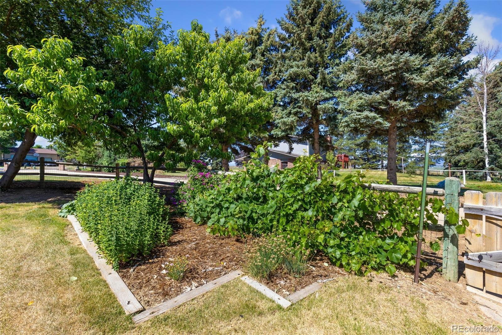 MLS Image #12 for 5077  brittlebush court,johnstown, Colorado