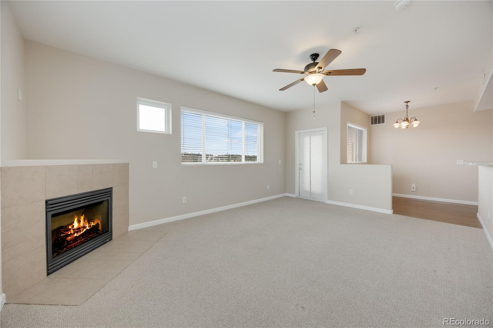 MLS Image #11 for 3765  hartsock lane,colorado springs, Colorado