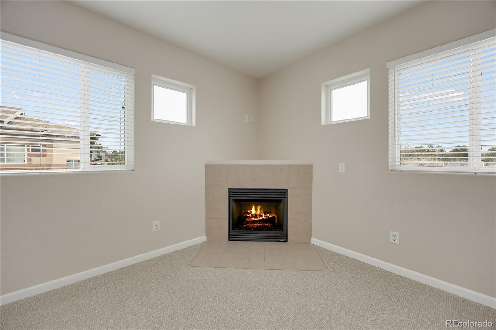 MLS Image #16 for 3765  hartsock lane,colorado springs, Colorado