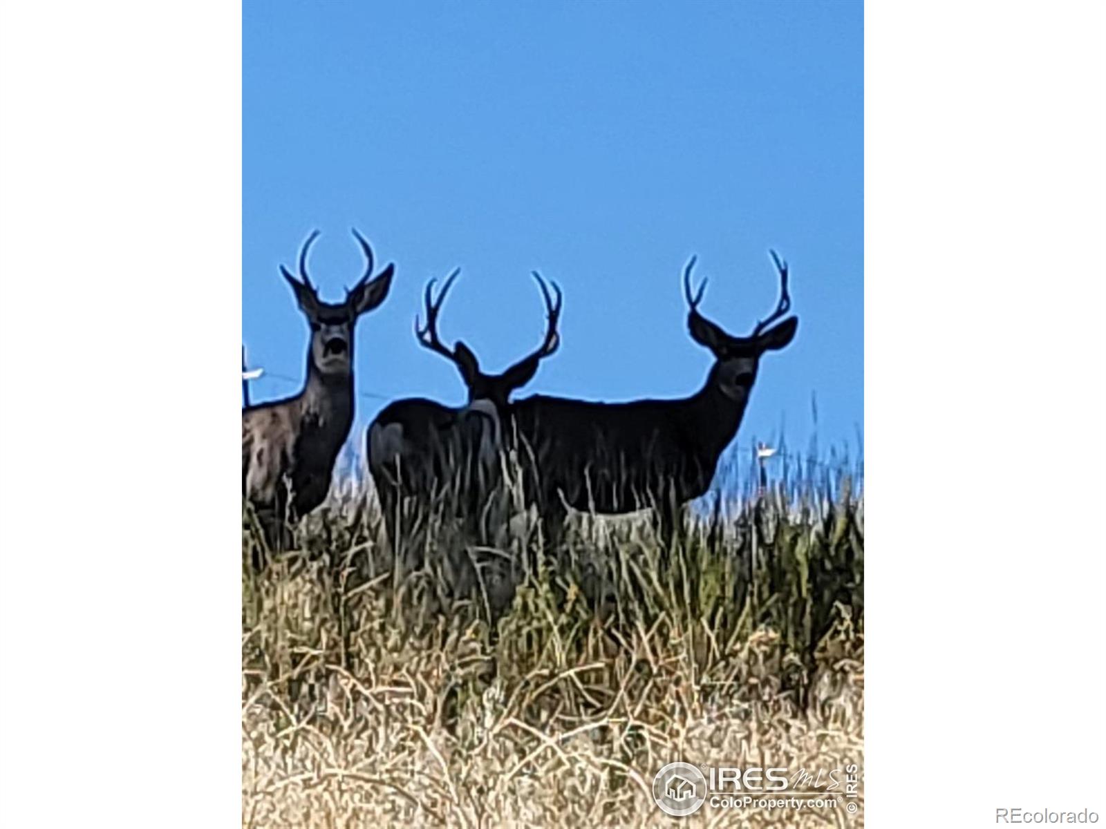 MLS Image #34 for 27033  thea gulch road,golden, Colorado