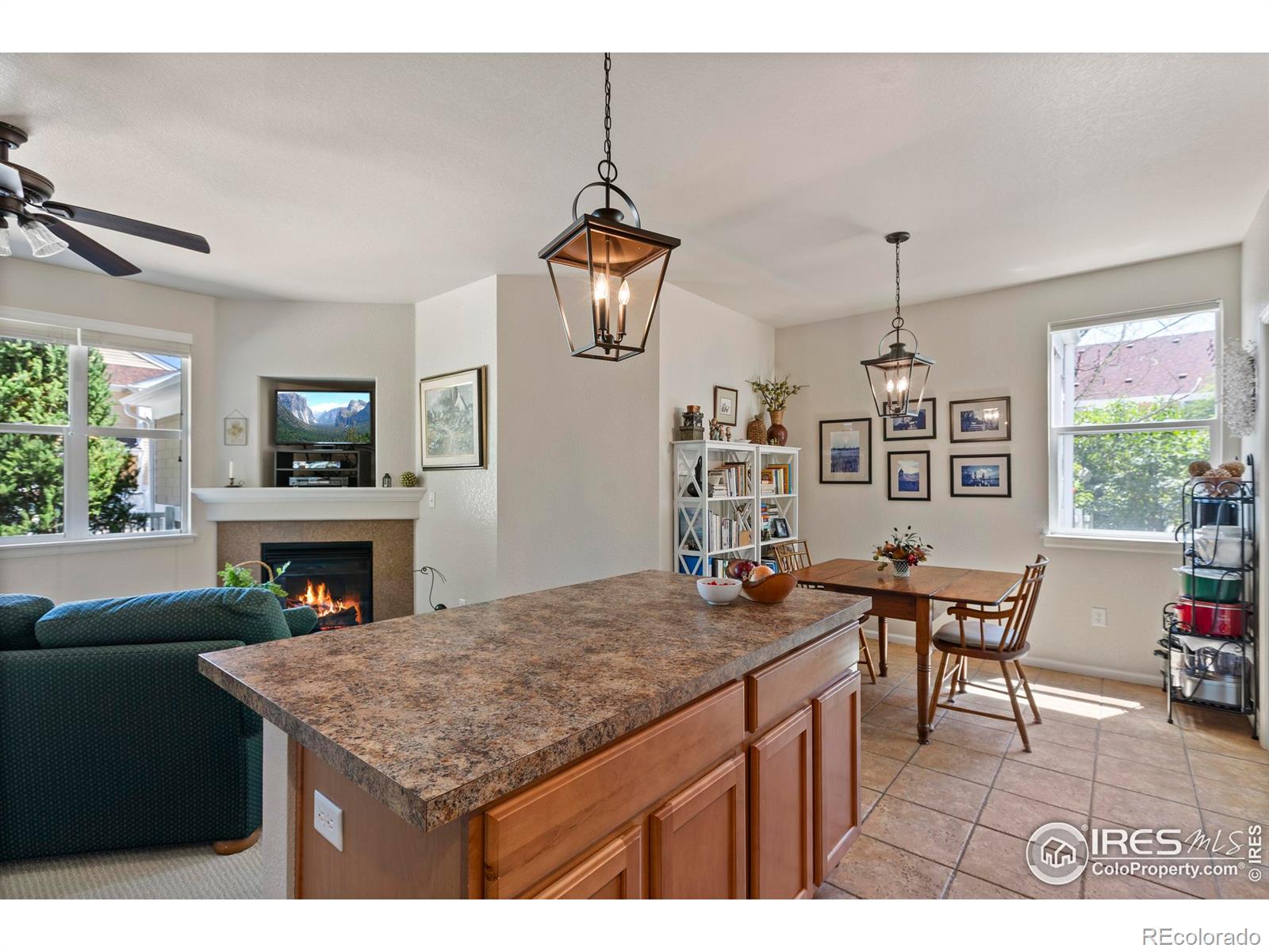 MLS Image #10 for 2043  grays peak drive,loveland, Colorado