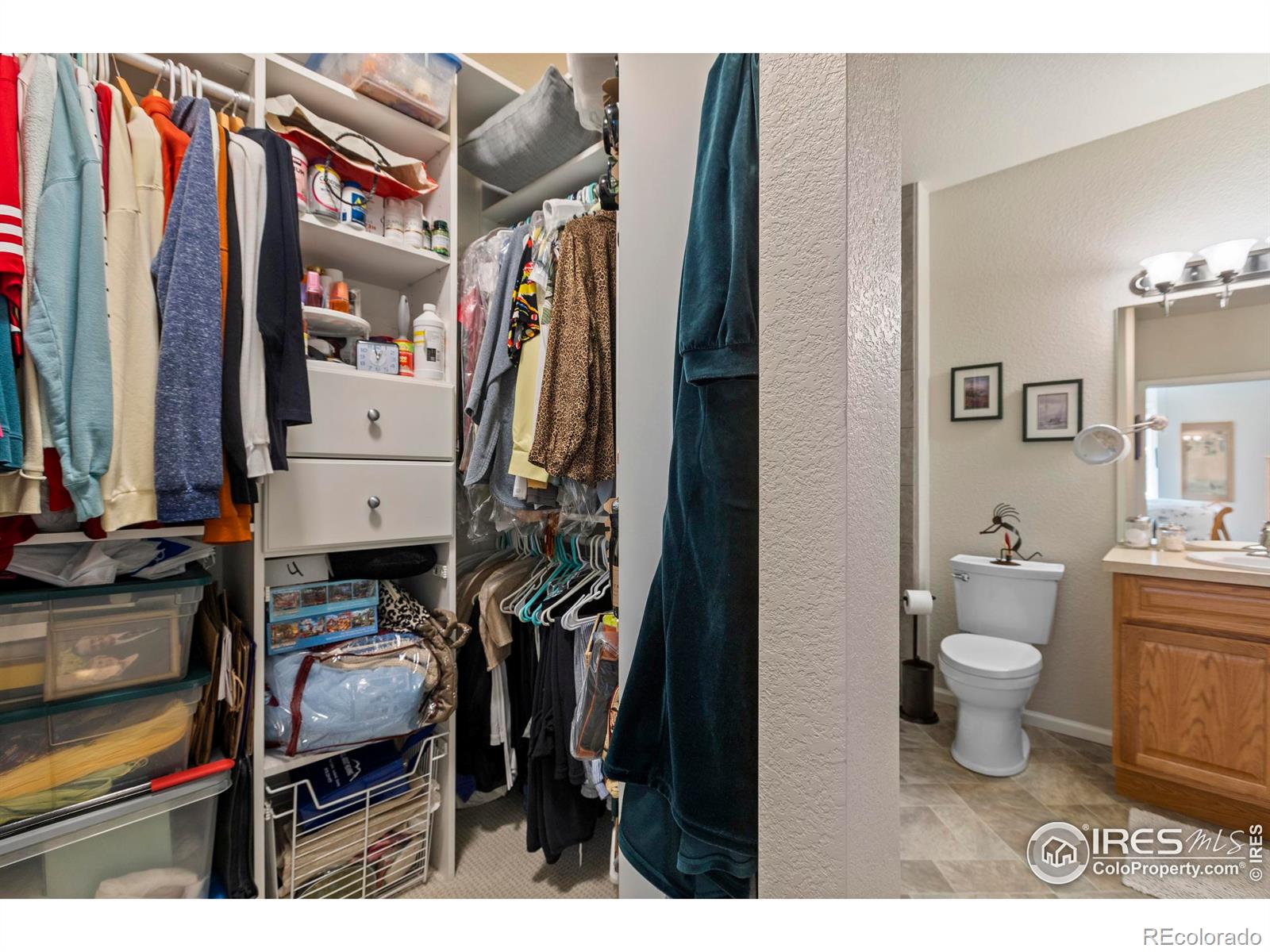 MLS Image #15 for 2043  grays peak drive,loveland, Colorado
