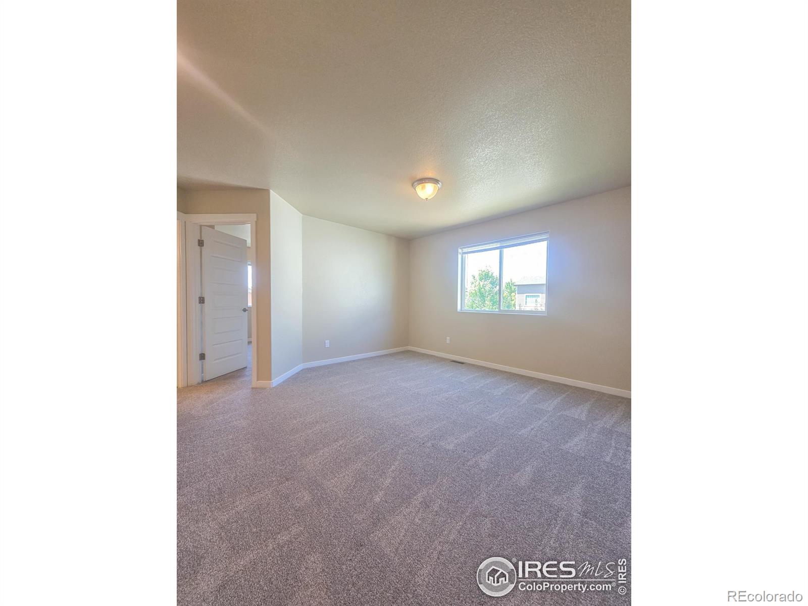 MLS Image #12 for 3001  nebula court,loveland, Colorado