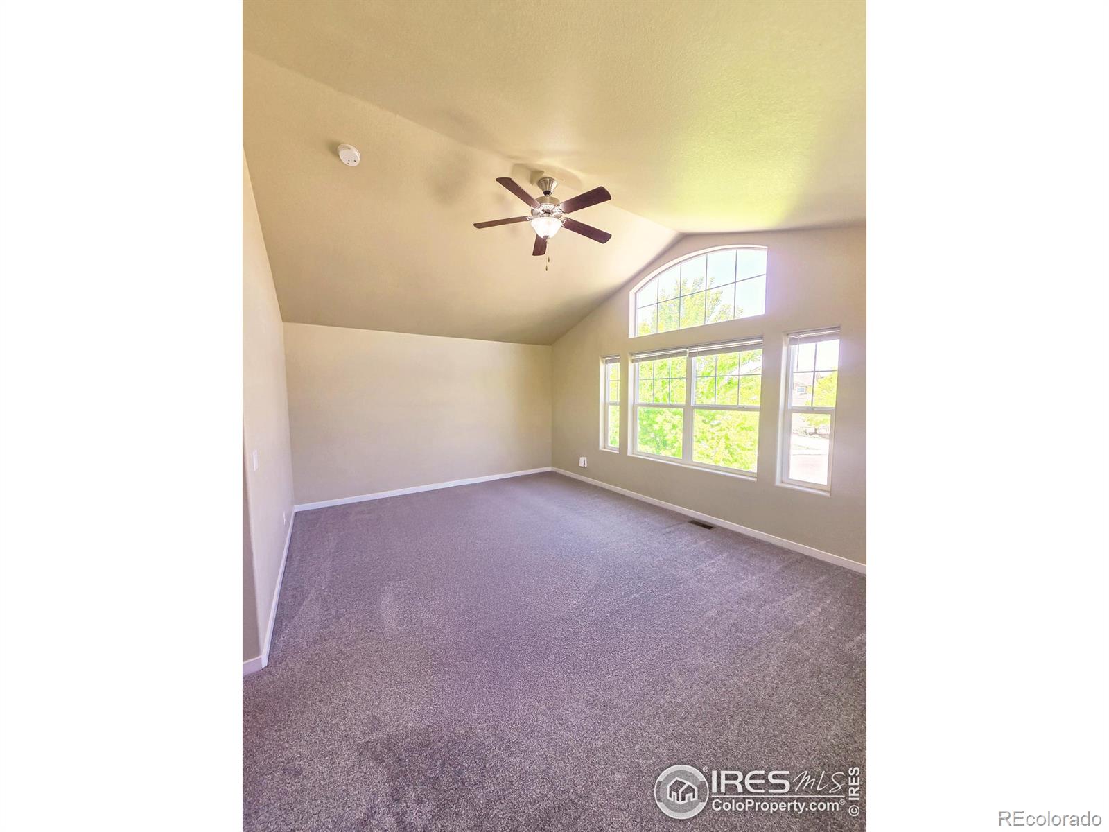 MLS Image #8 for 3001  nebula court,loveland, Colorado