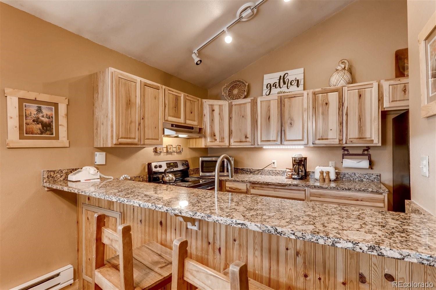 MLS Image #13 for 1937  soda ridge road,dillon, Colorado
