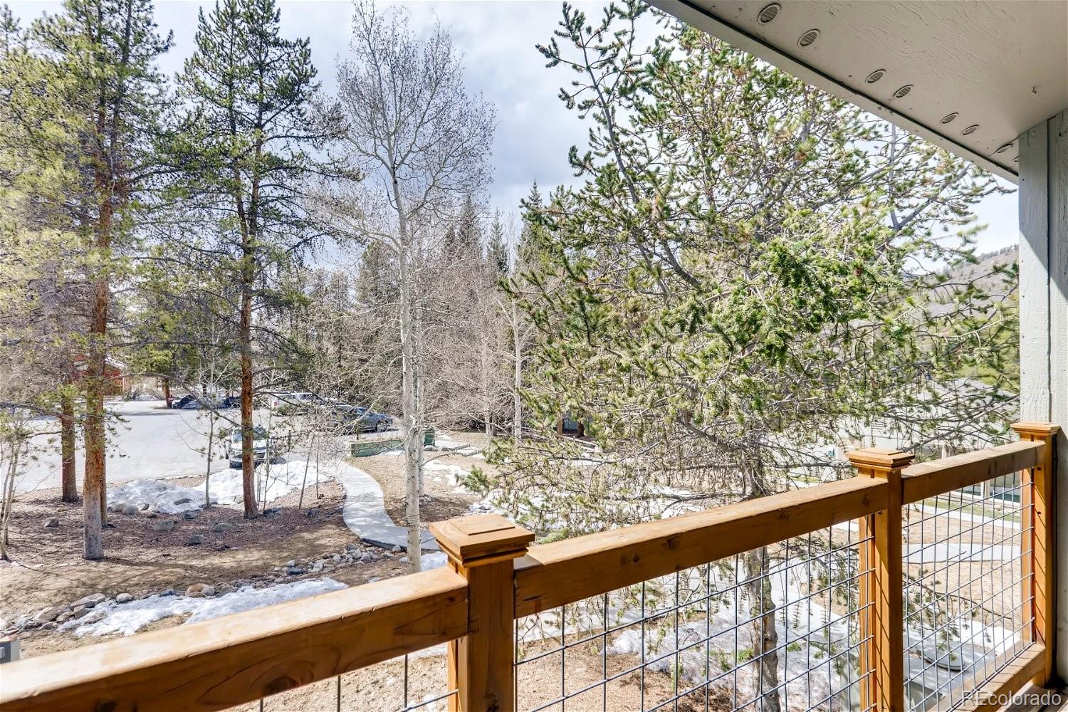MLS Image #28 for 1937  soda ridge road,dillon, Colorado