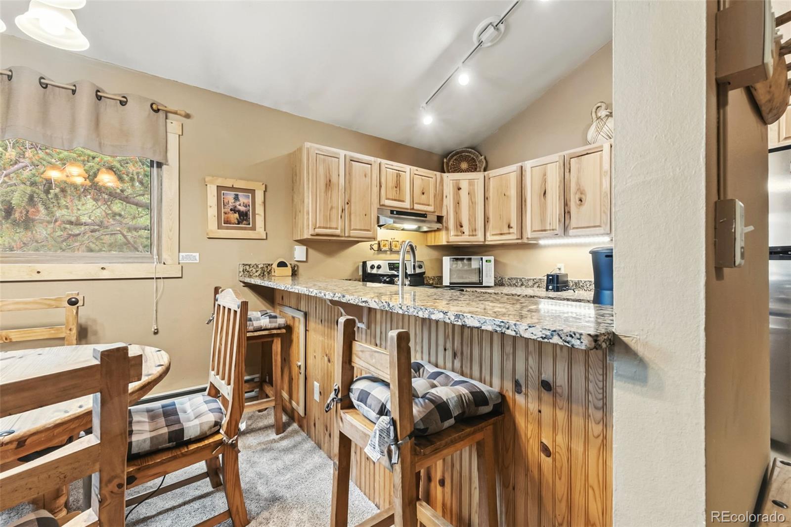 MLS Image #6 for 1937  soda ridge road,dillon, Colorado