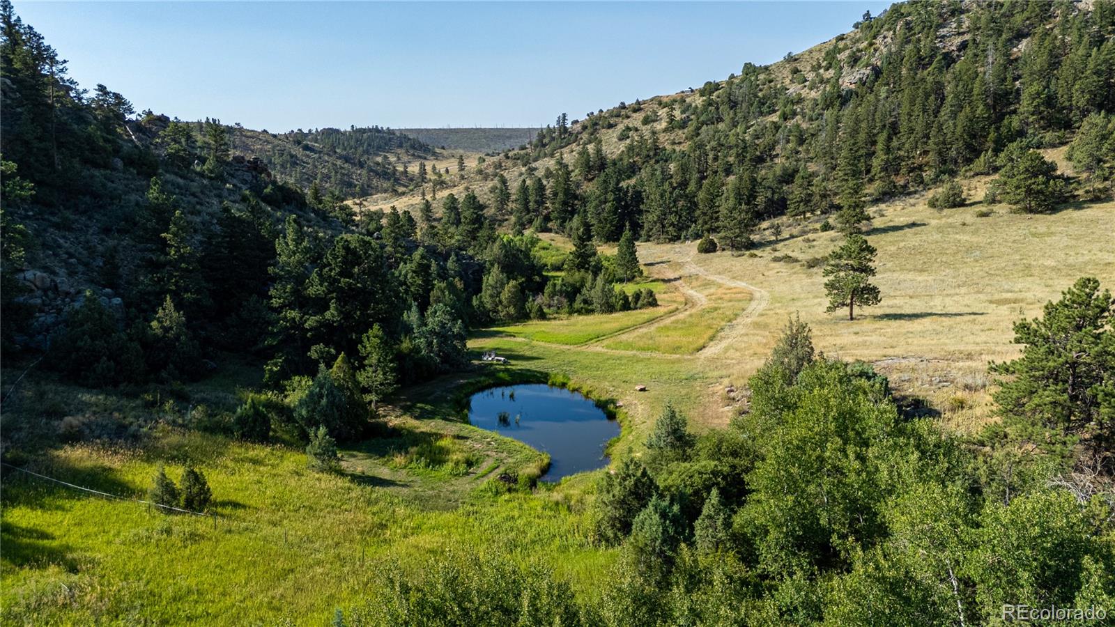 MLS Image #3 for 1388  mount moriah road,livermore, Colorado