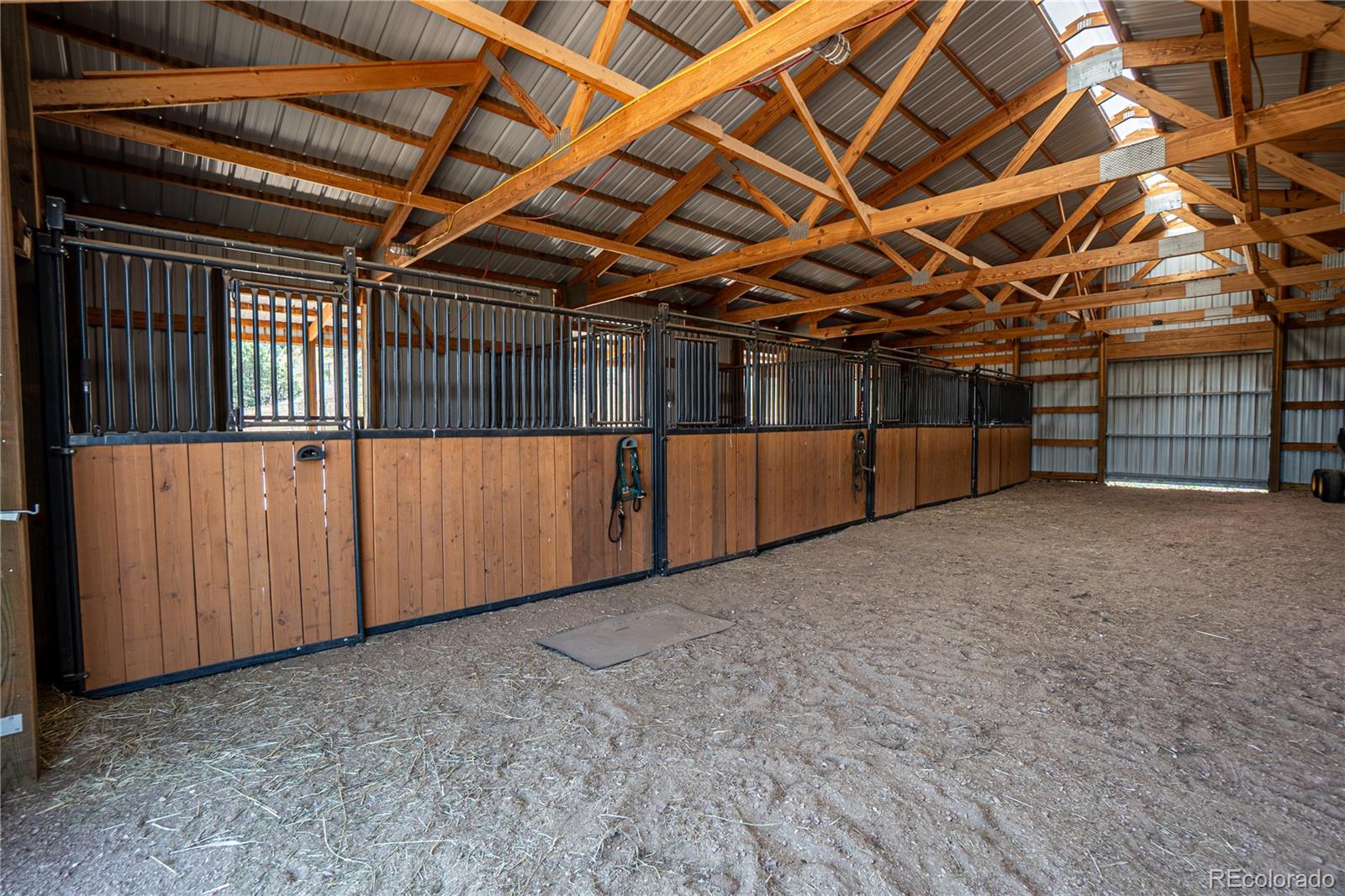 MLS Image #32 for 1388  mount moriah road,livermore, Colorado