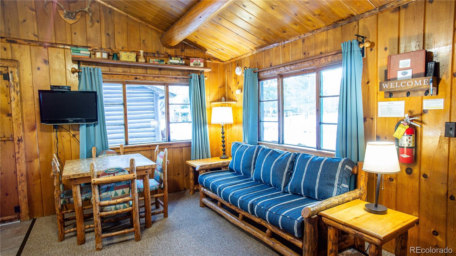 MLS Image #1 for 1004 w main street,buena vista, Colorado
