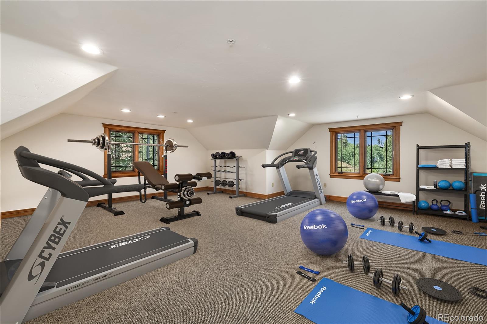 MLS Image #35 for 273  two cabins drive,silverthorne, Colorado