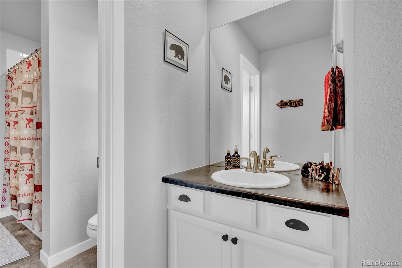 MLS Image #16 for 690  avena drive,elizabeth, Colorado