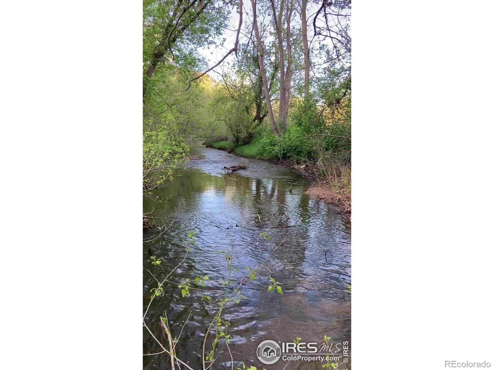 MLS Image #35 for 9680 w county road 38 ,loveland, Colorado