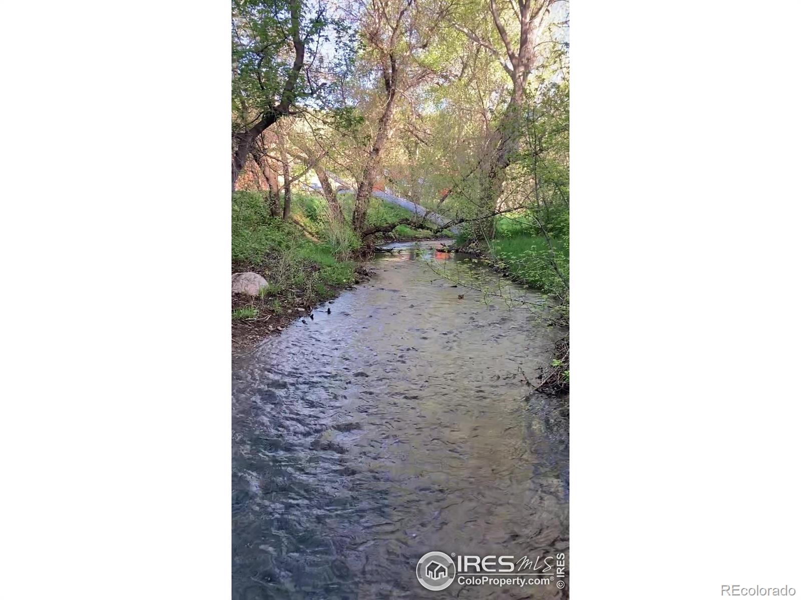 MLS Image #48 for 9680 w county road 38 ,loveland, Colorado