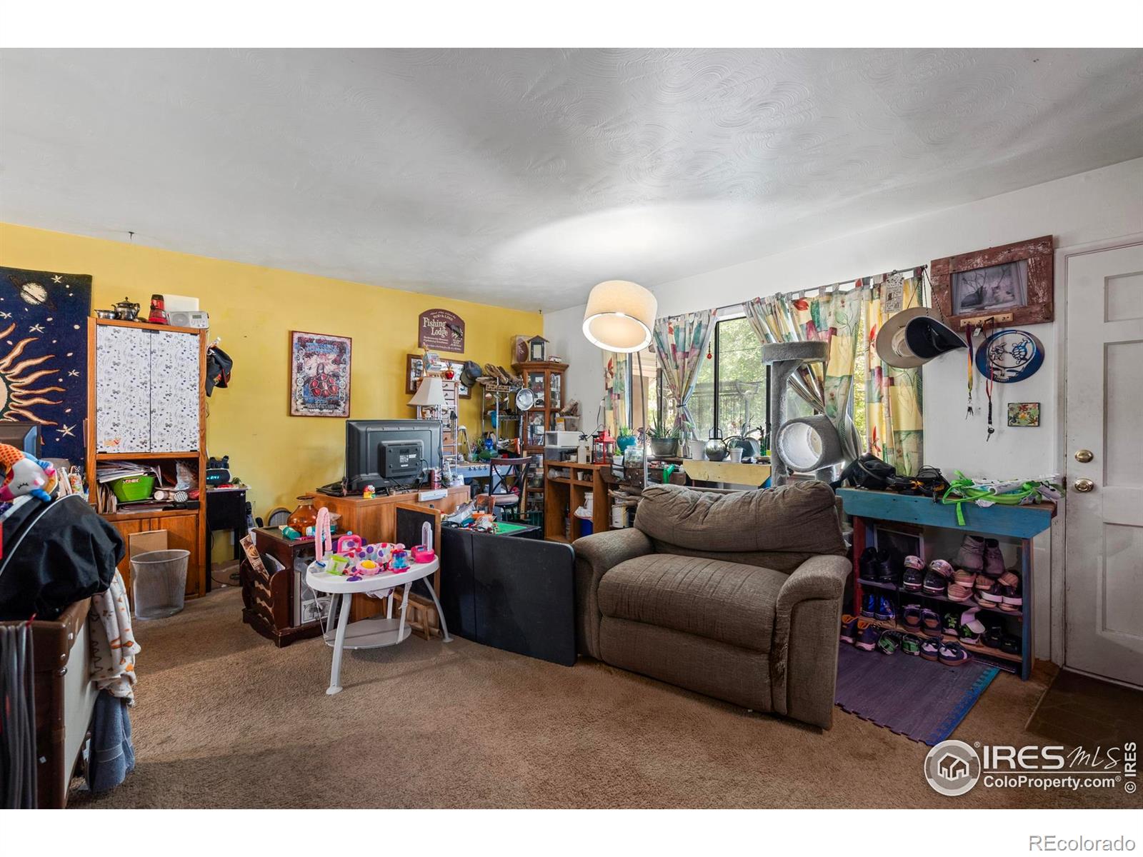 MLS Image #11 for 1005  shortleaf court,loveland, Colorado