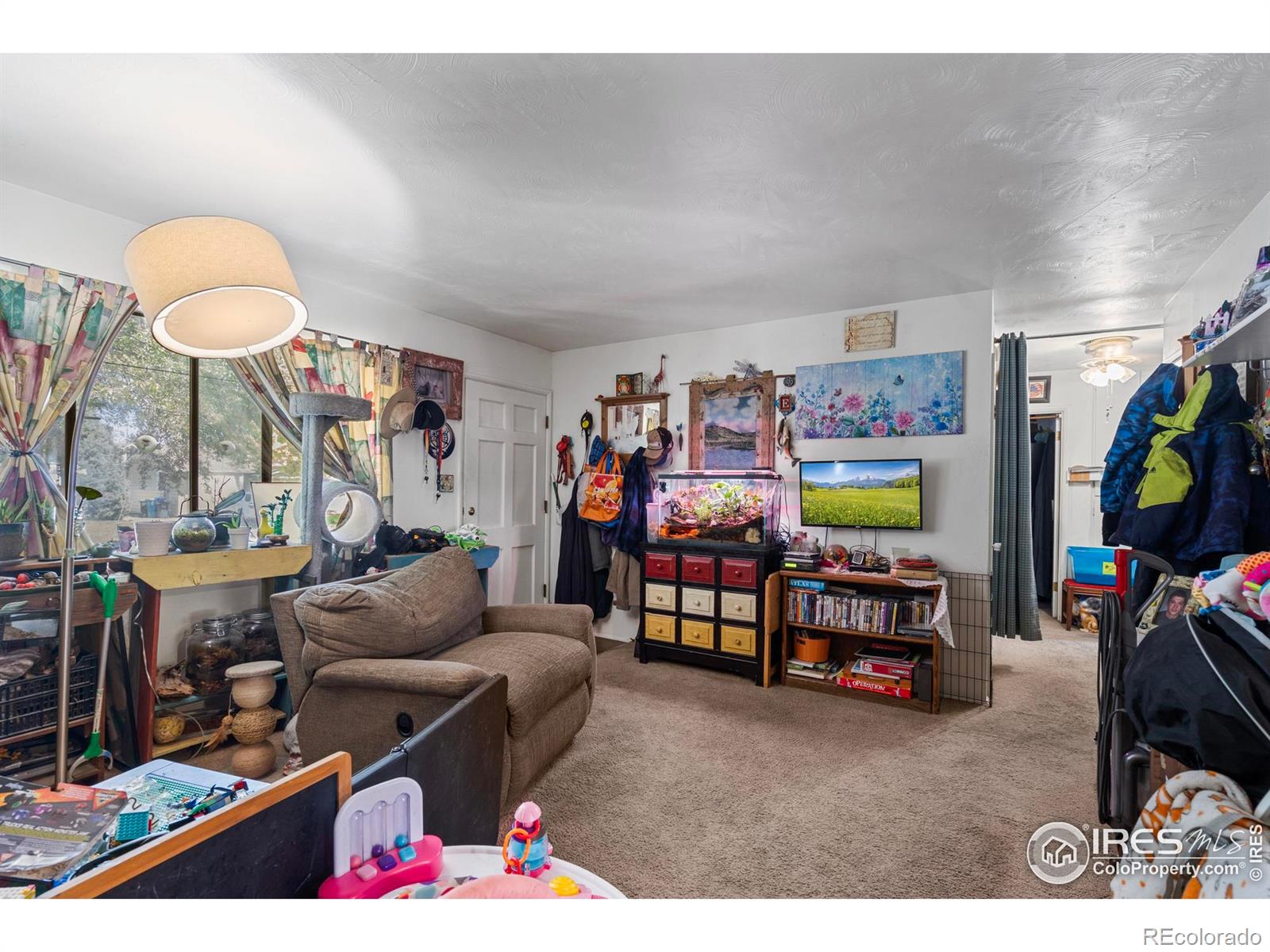 MLS Image #12 for 1005  shortleaf court,loveland, Colorado