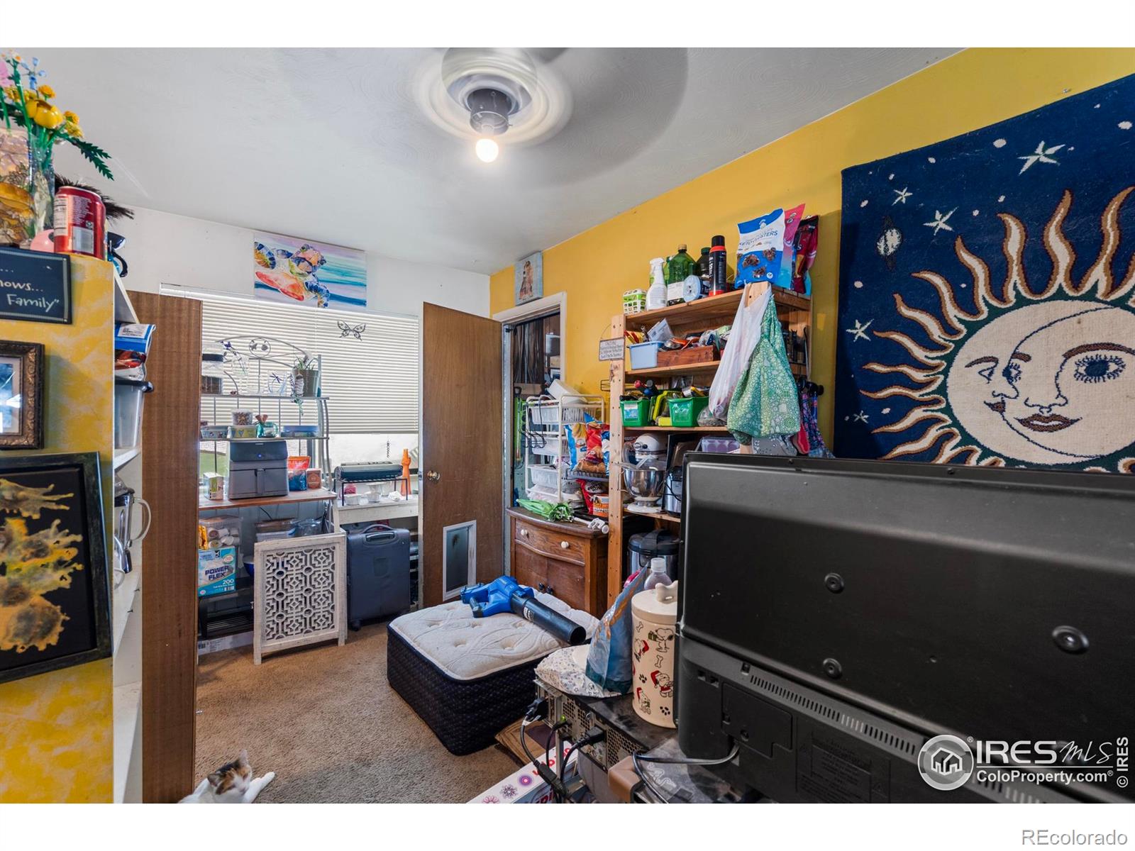 MLS Image #13 for 1005  shortleaf court,loveland, Colorado