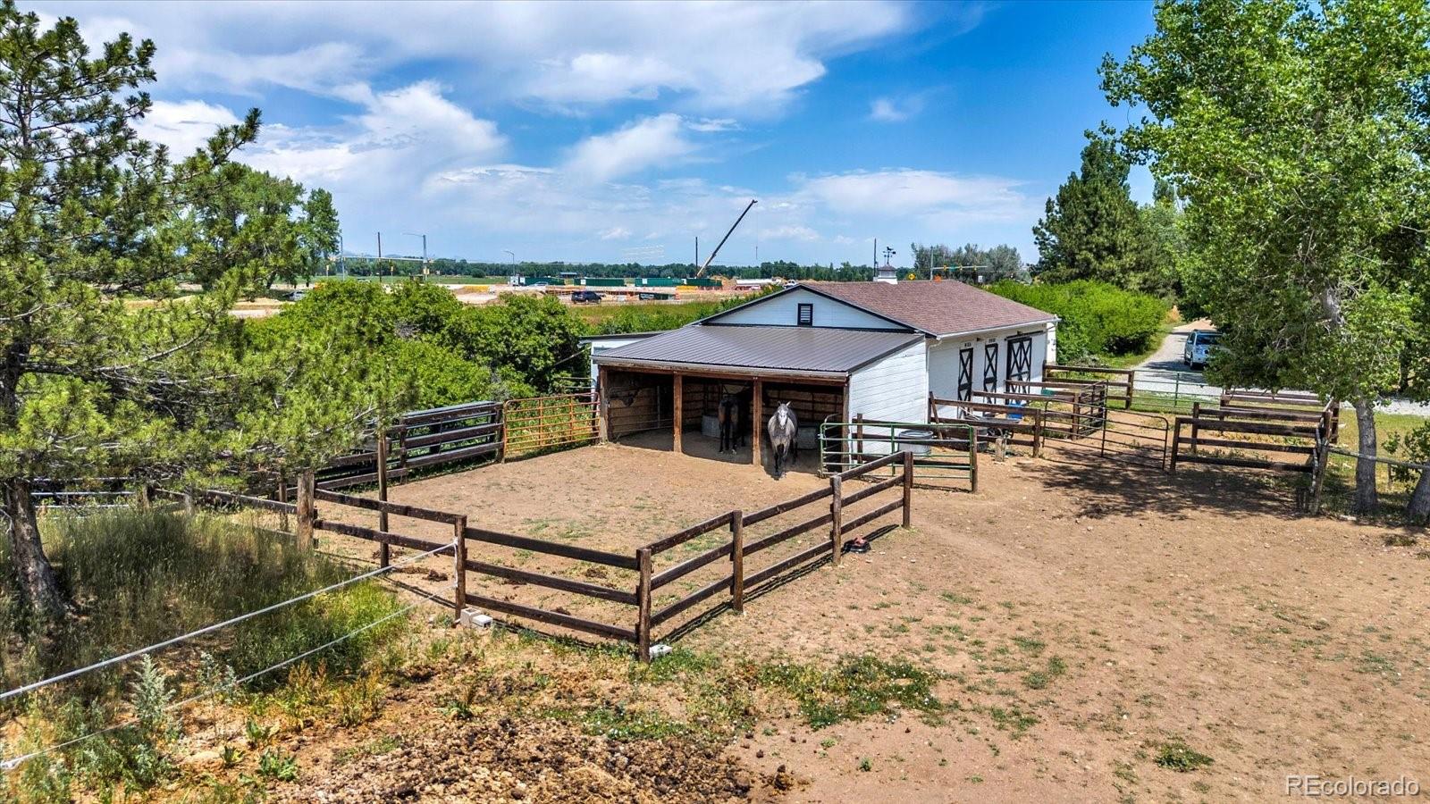 MLS Image #3 for 6957  peppertree drive,niwot, Colorado