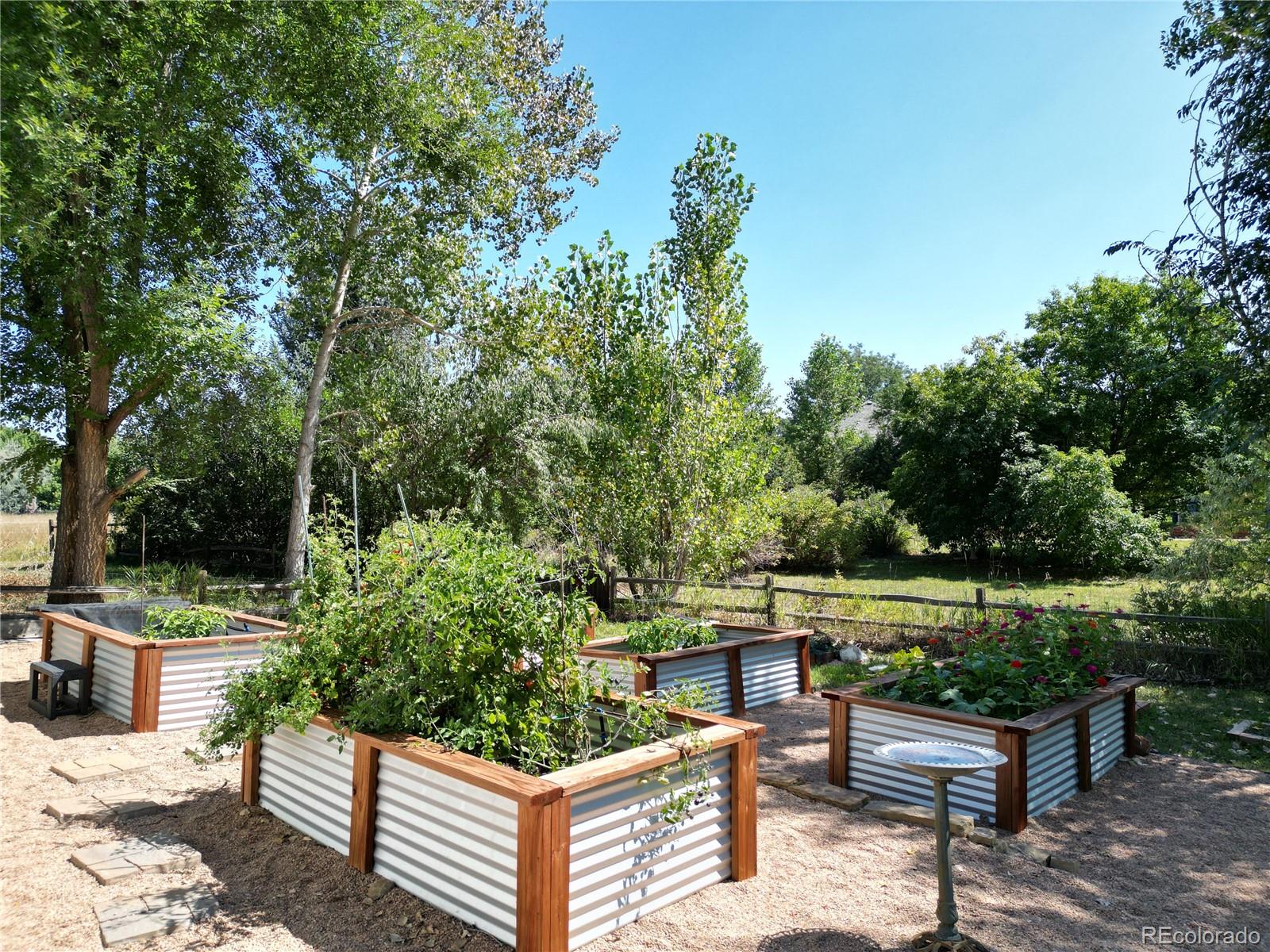 MLS Image #37 for 6957  peppertree drive,niwot, Colorado