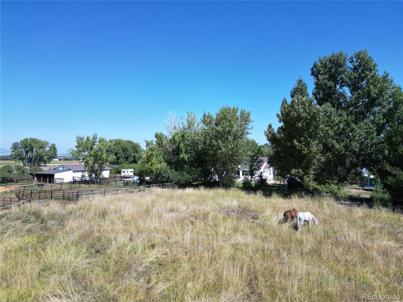 MLS Image #43 for 6957  peppertree drive,niwot, Colorado