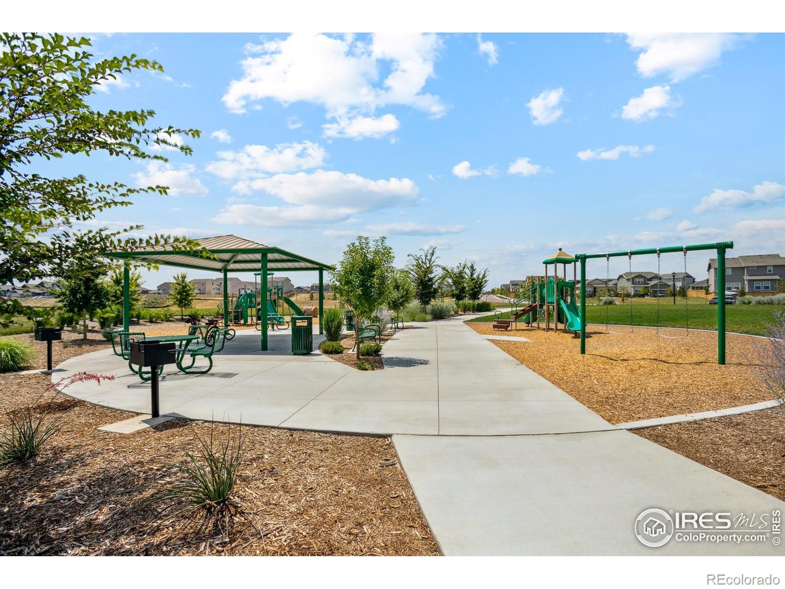 MLS Image #15 for 965  cascade falls street,severance, Colorado