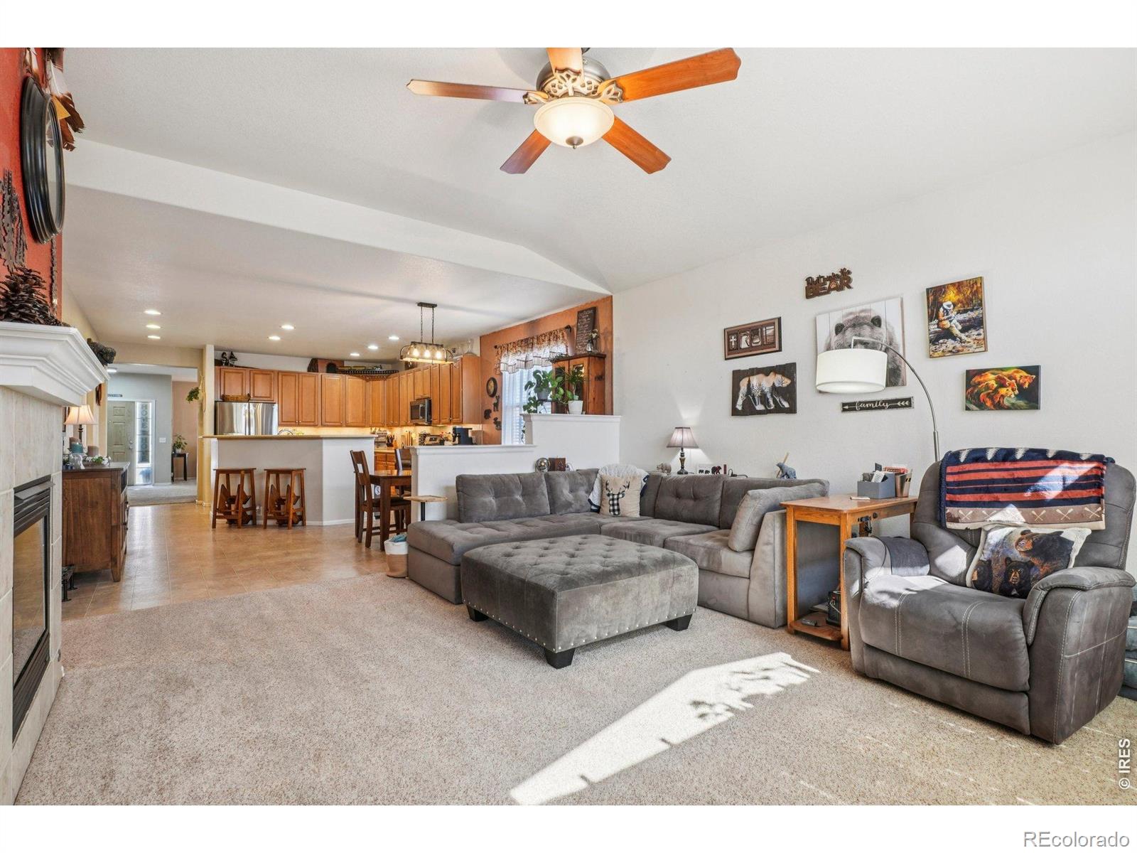 MLS Image #12 for 256  homestead way,brighton, Colorado