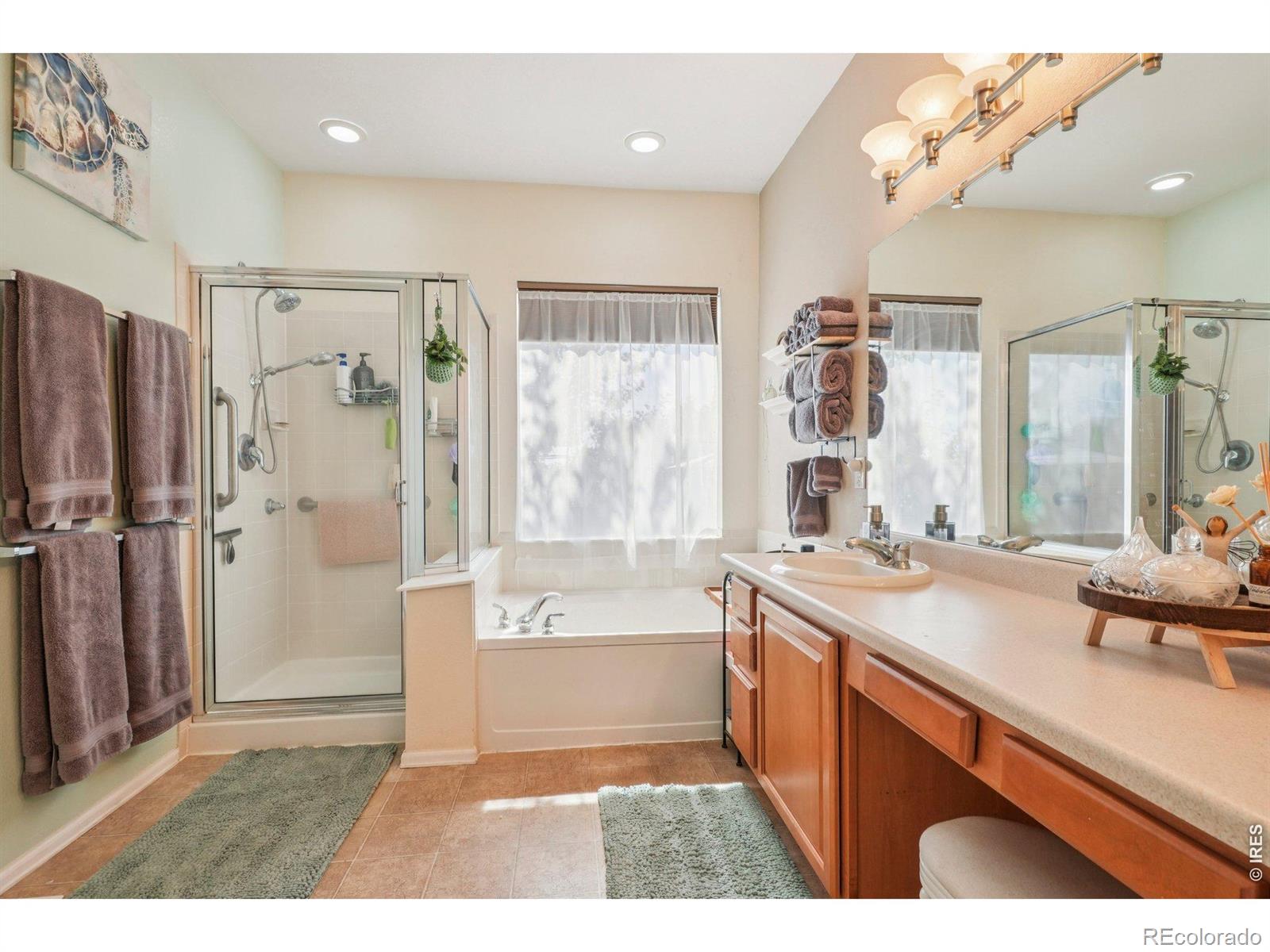 MLS Image #18 for 256  homestead way,brighton, Colorado