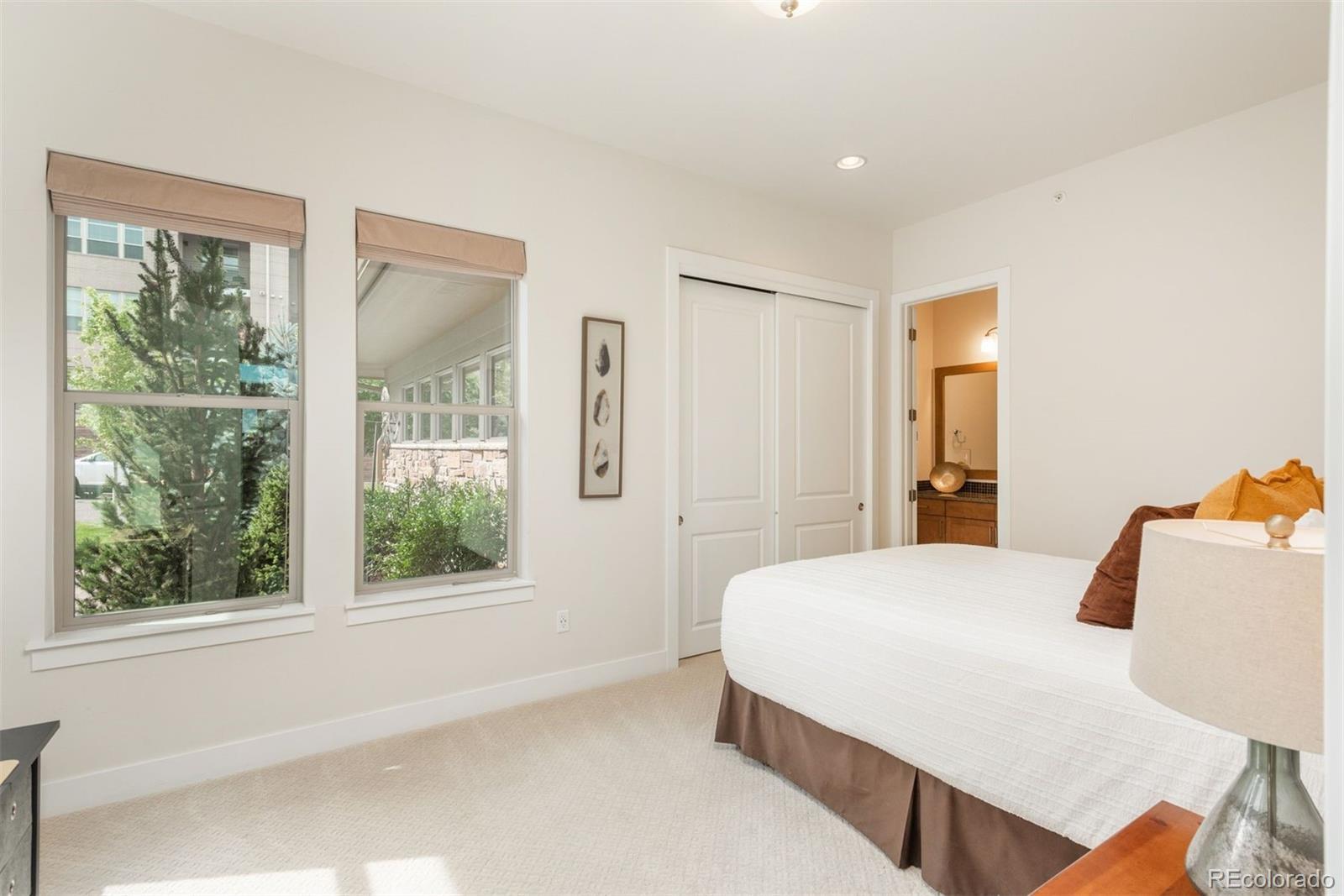 MLS Image #17 for 10263  spring green drive,englewood, Colorado