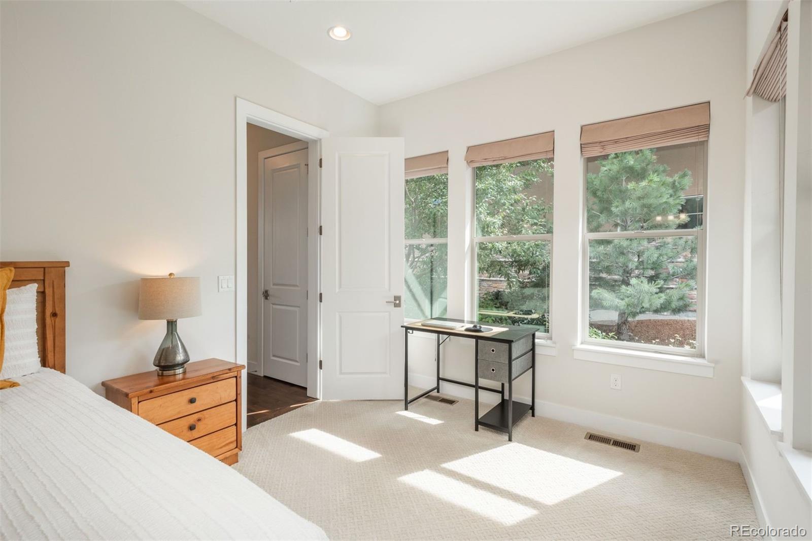 MLS Image #19 for 10263  spring green drive,englewood, Colorado