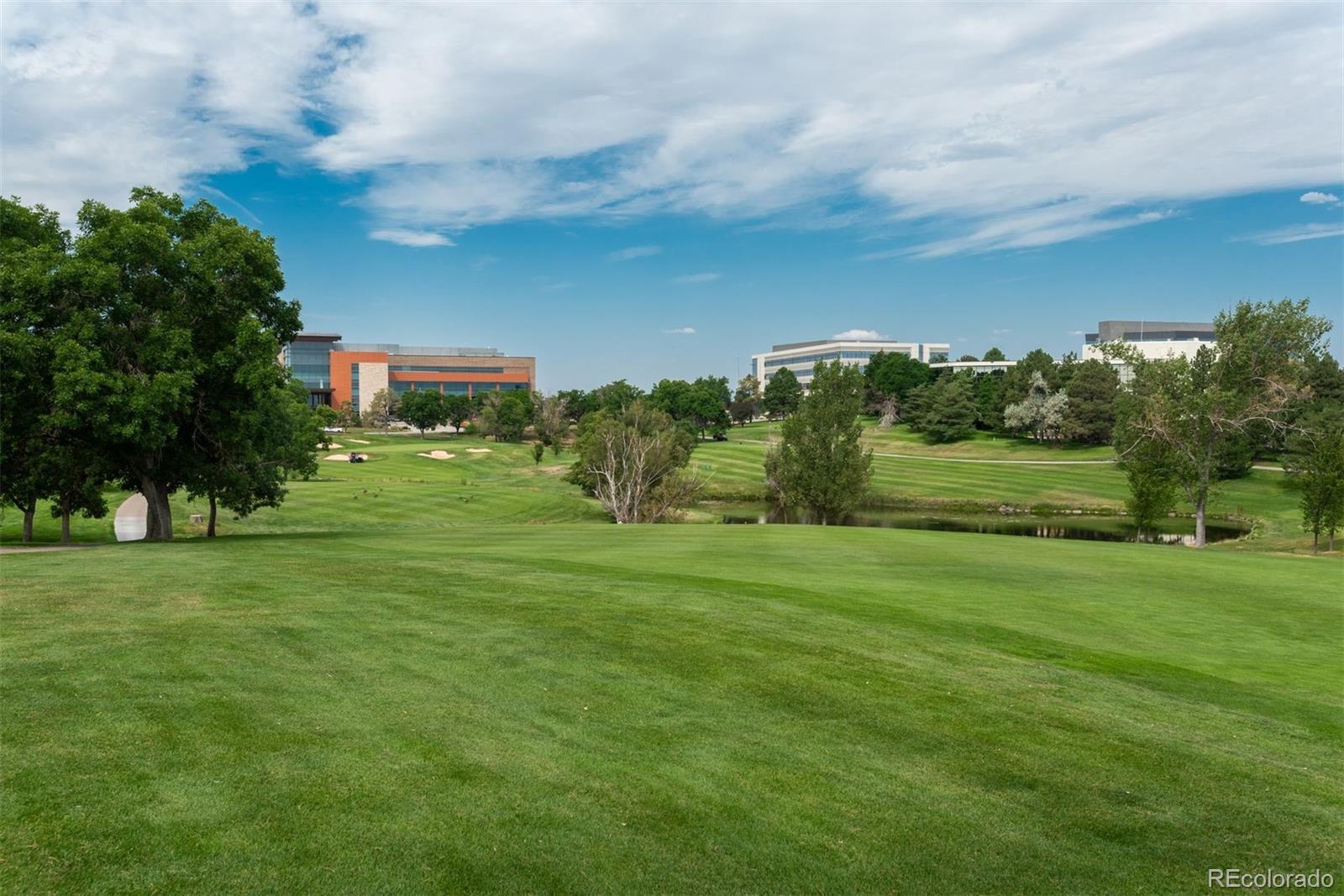 MLS Image #31 for 10263  spring green drive,englewood, Colorado