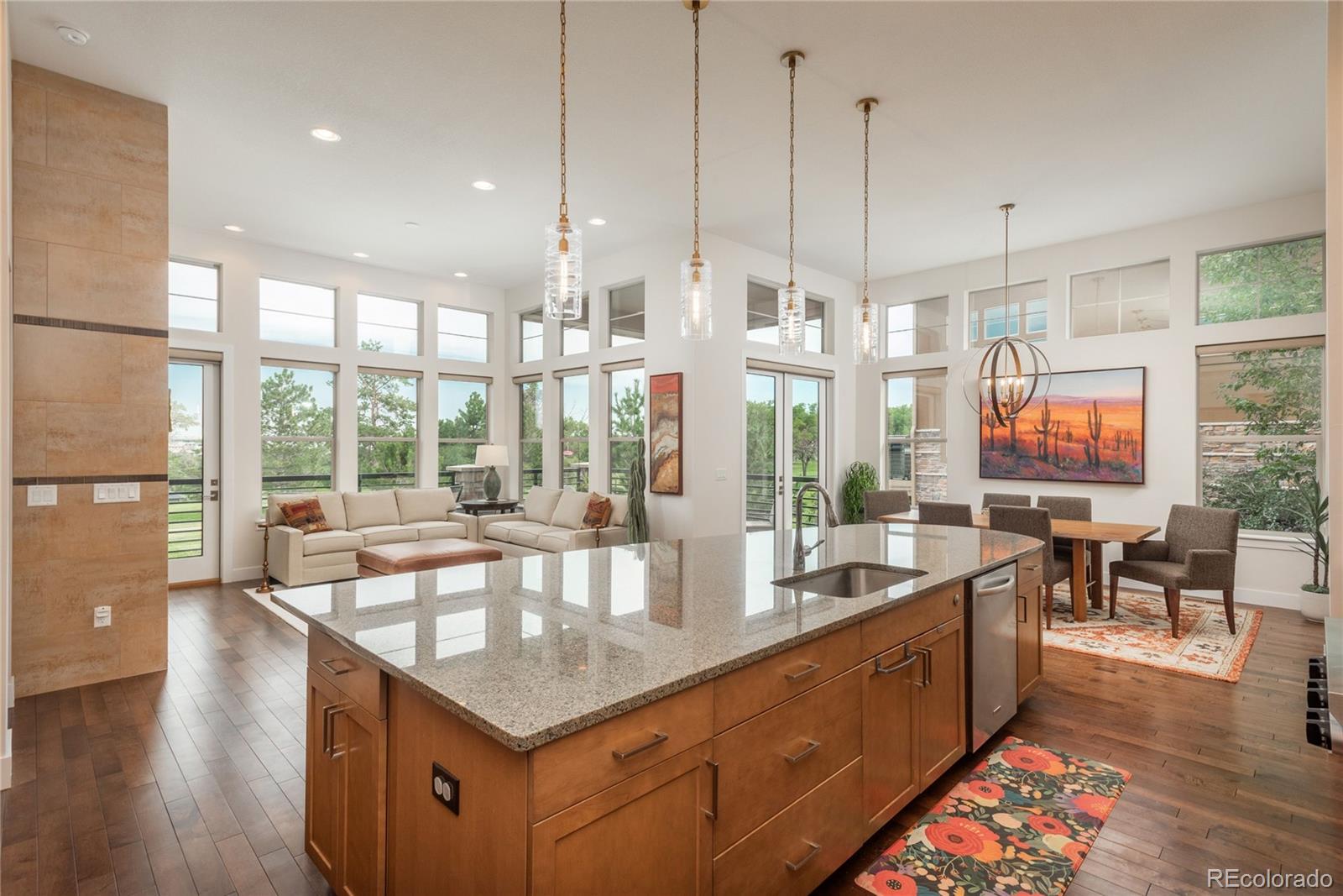 MLS Image #4 for 10263  spring green drive,englewood, Colorado