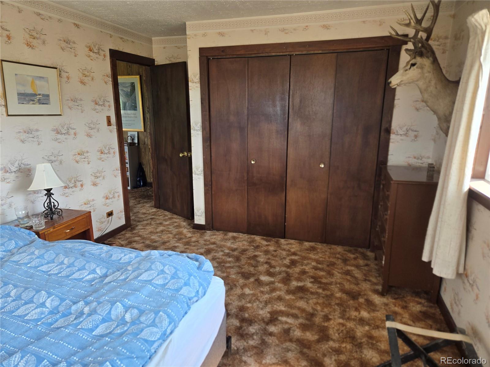 MLS Image #11 for 586  cuesta drive,cotopaxi, Colorado