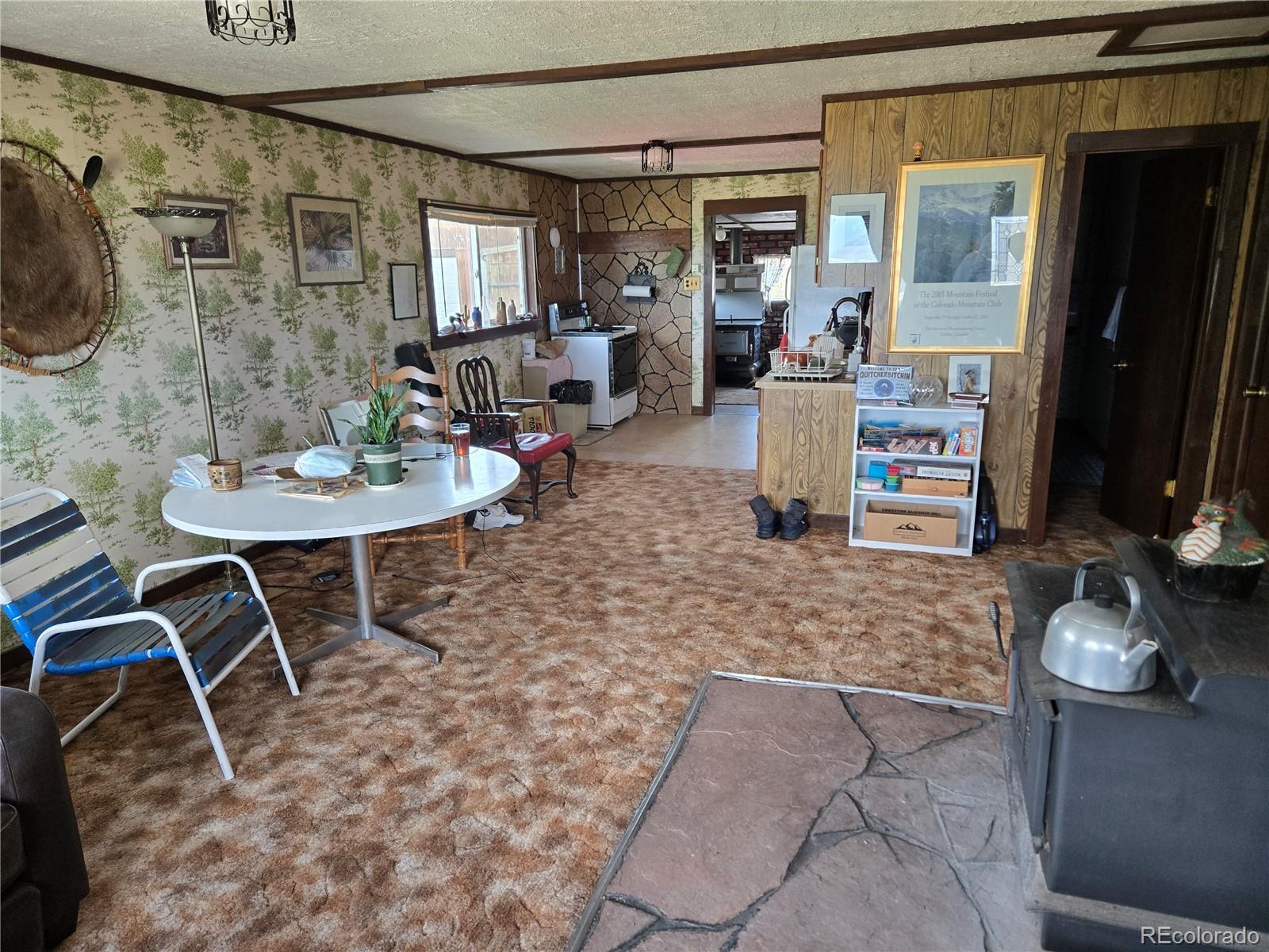 MLS Image #12 for 586  cuesta drive,cotopaxi, Colorado