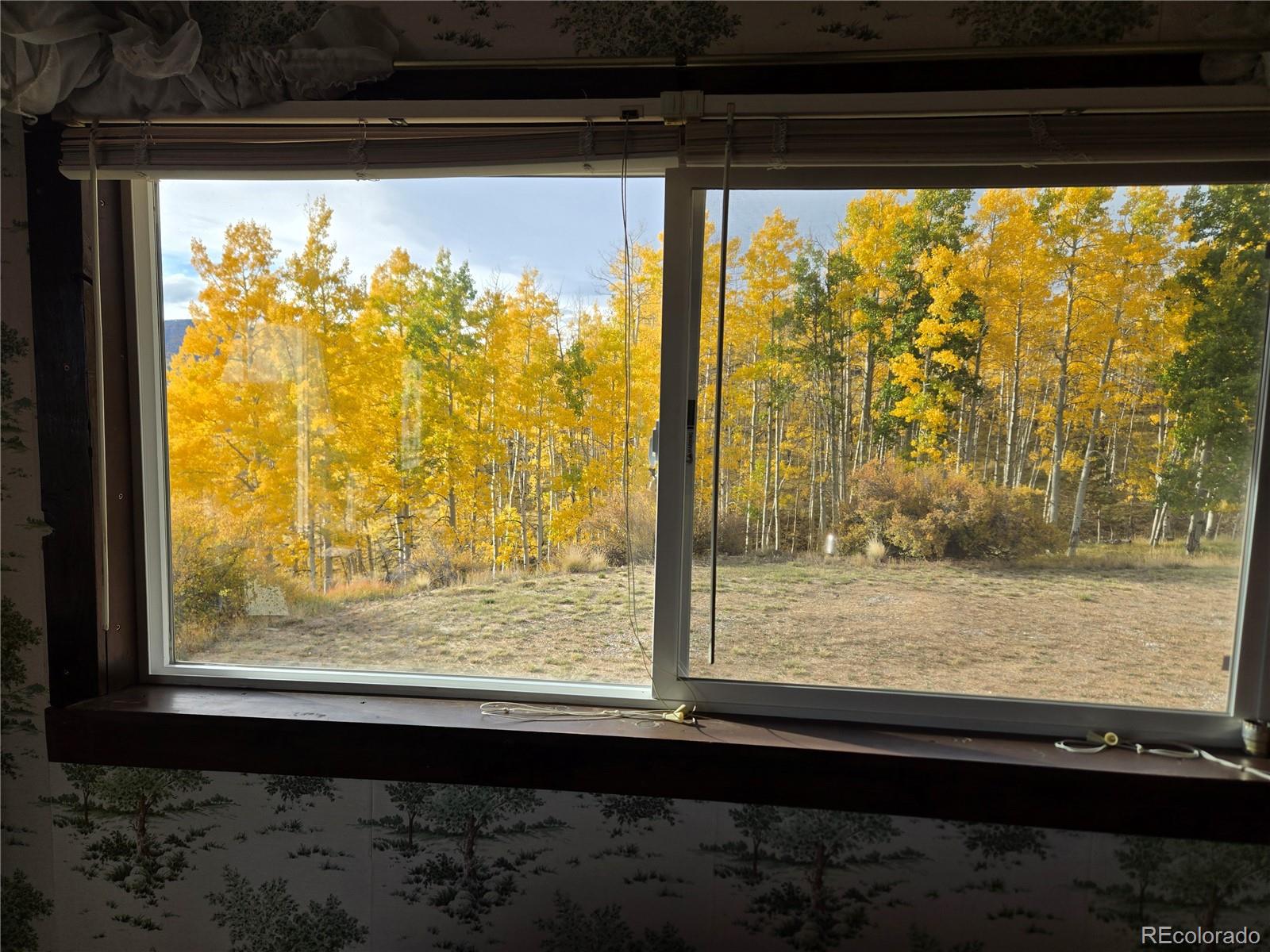 MLS Image #3 for 586  cuesta drive,cotopaxi, Colorado