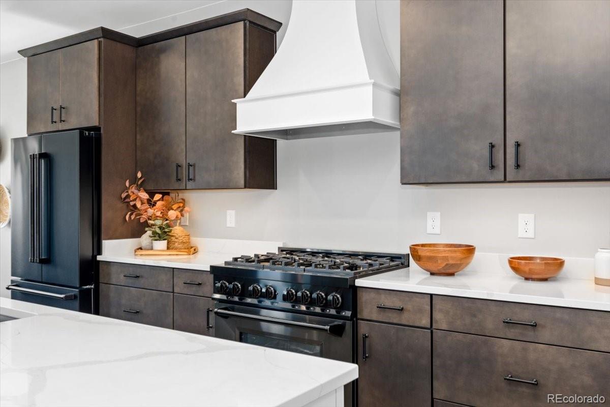 MLS Image #10 for 16631  early light drive,colorado springs, Colorado