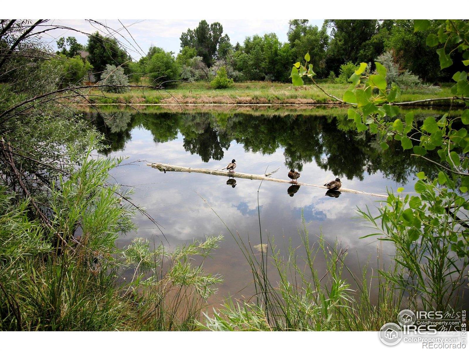 MLS Image #23 for 1705  heatheridge road,fort collins, Colorado