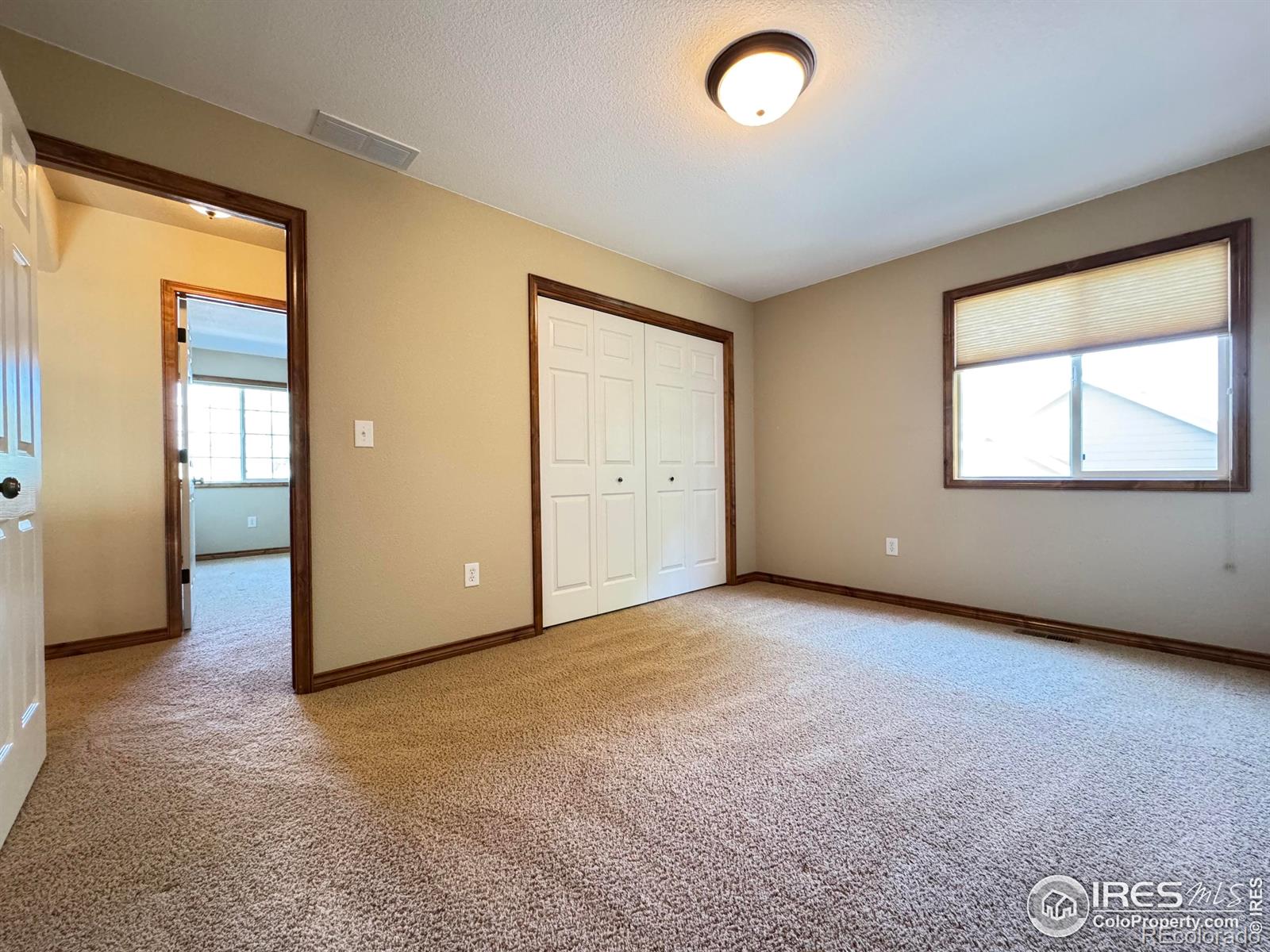 MLS Image #11 for 3385  laplata avenue,loveland, Colorado
