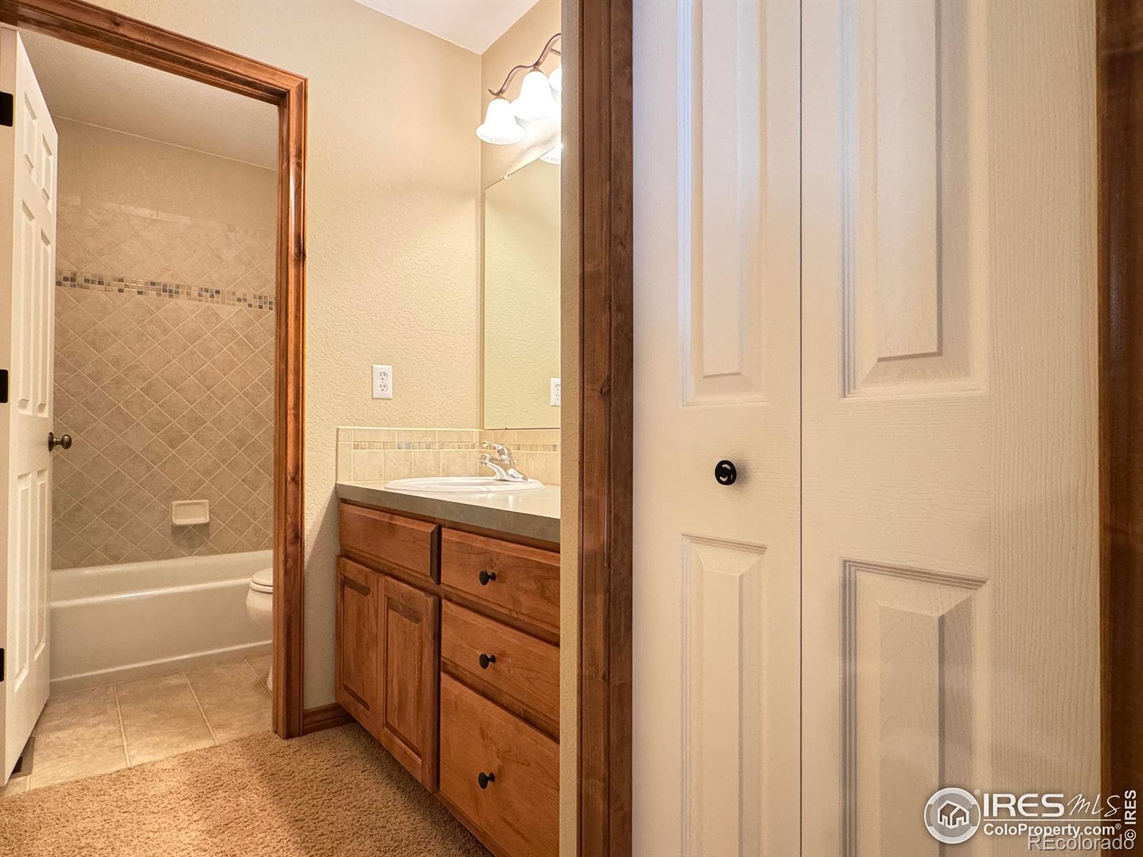 MLS Image #12 for 3385  laplata avenue,loveland, Colorado