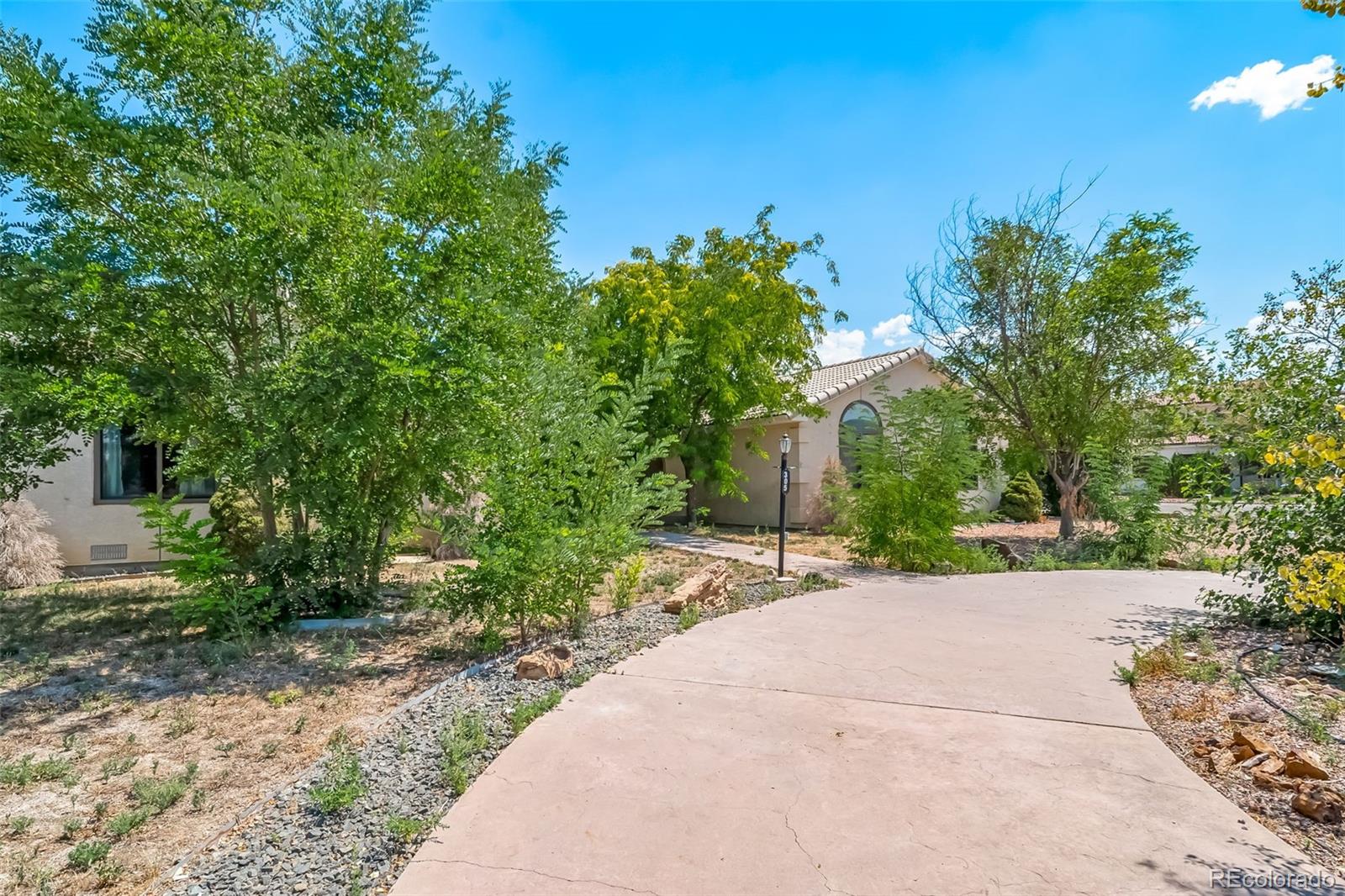 MLS Image #5 for 305  kimble avenue,swink, Colorado