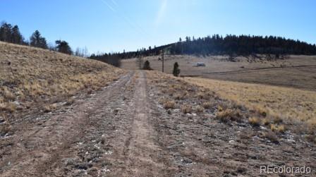 MLS Image #15 for 135  navajo trail,hartsel, Colorado