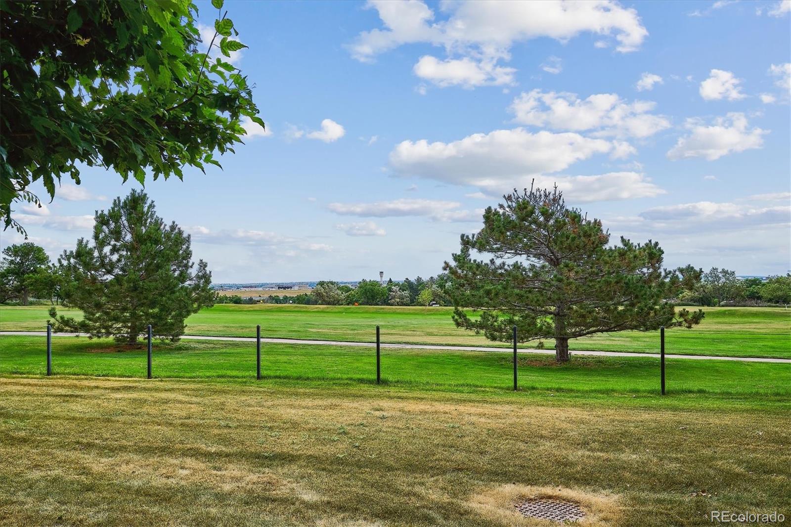 MLS Image #5 for 10559  spring green drive,englewood, Colorado