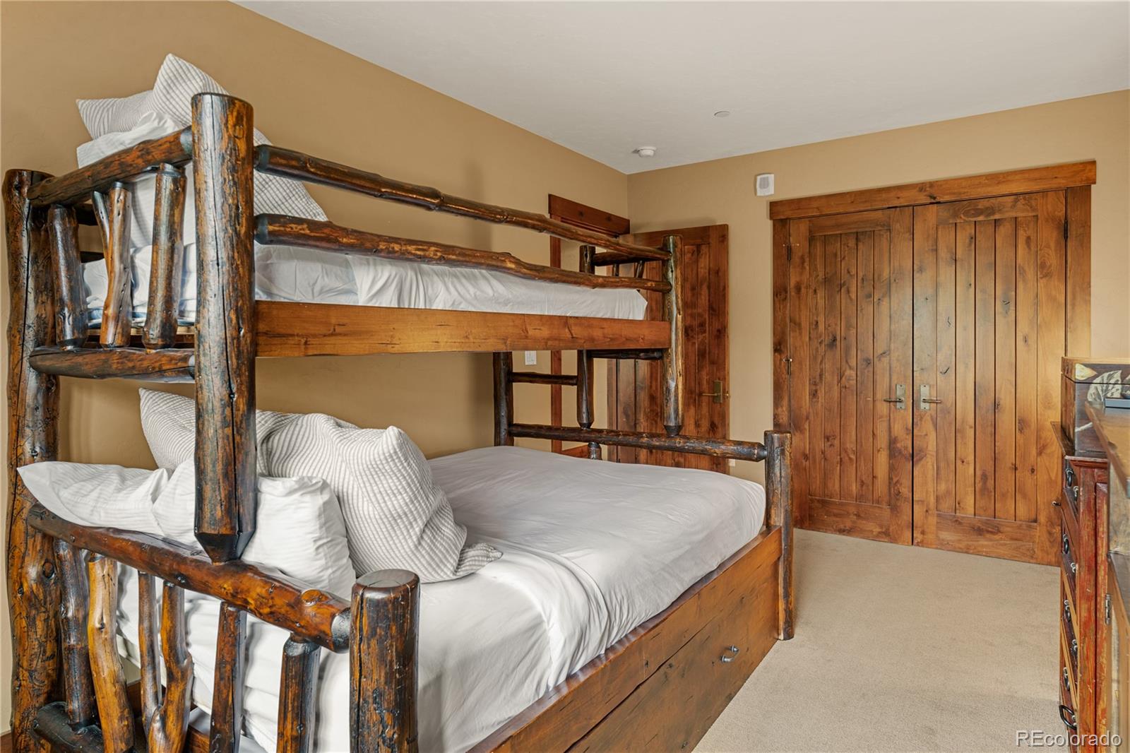 MLS Image #20 for 600  columbine road,breckenridge, Colorado