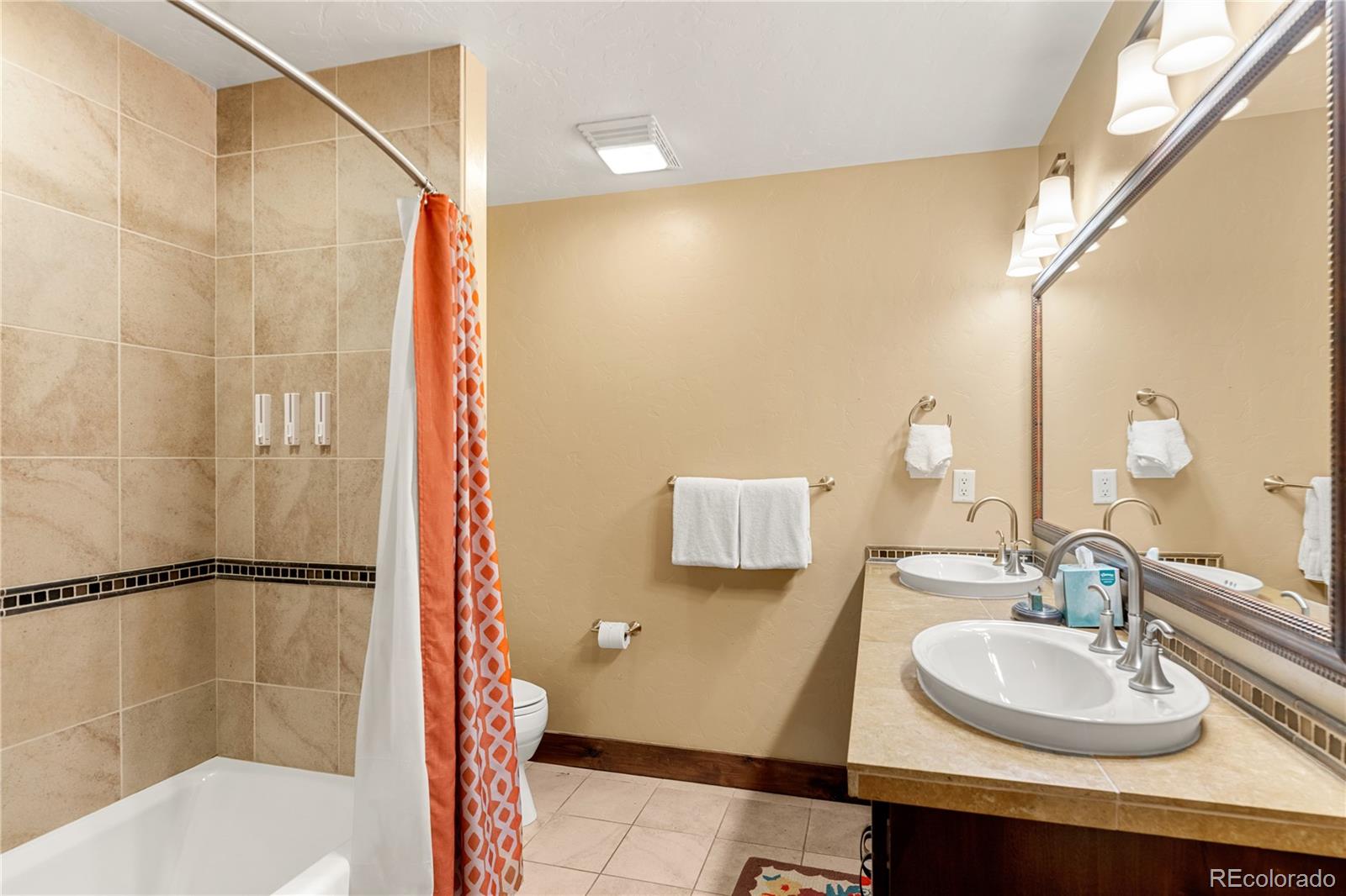 MLS Image #21 for 600  columbine road,breckenridge, Colorado