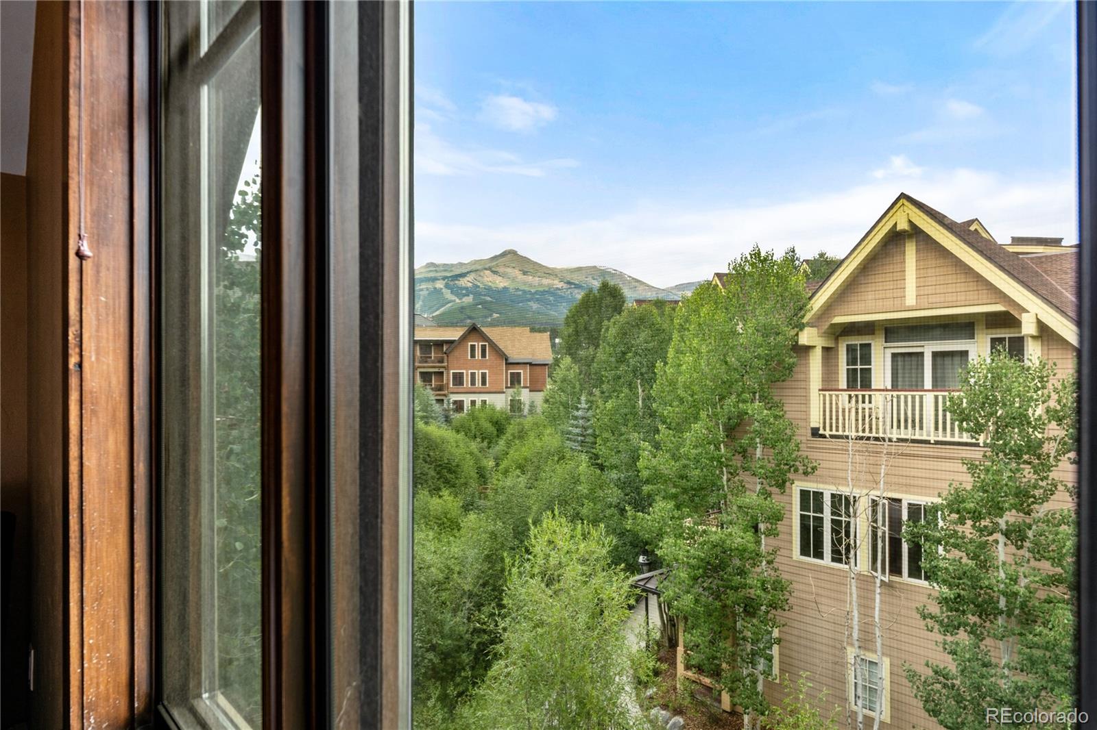 MLS Image #24 for 600  columbine road,breckenridge, Colorado