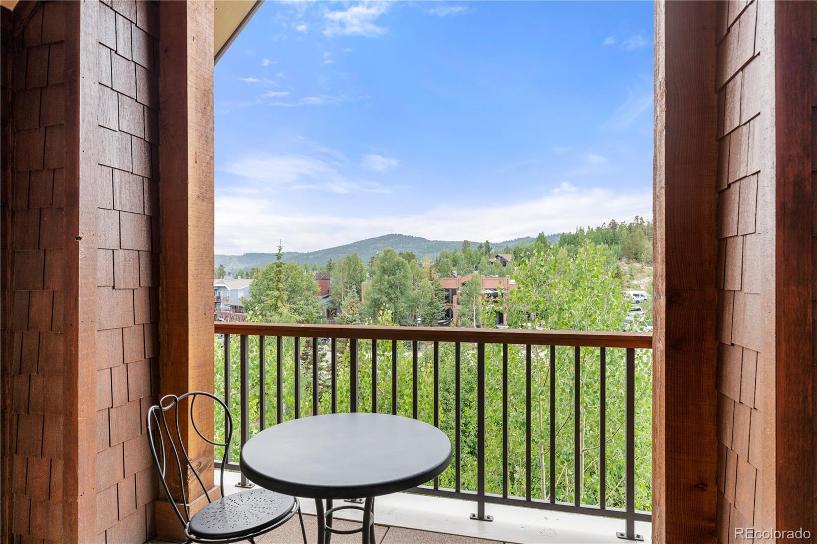 MLS Image #26 for 600  columbine road,breckenridge, Colorado