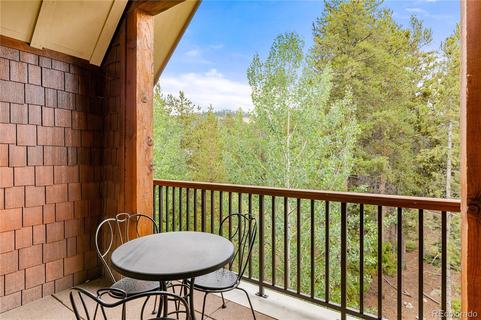 MLS Image #29 for 600  columbine road,breckenridge, Colorado