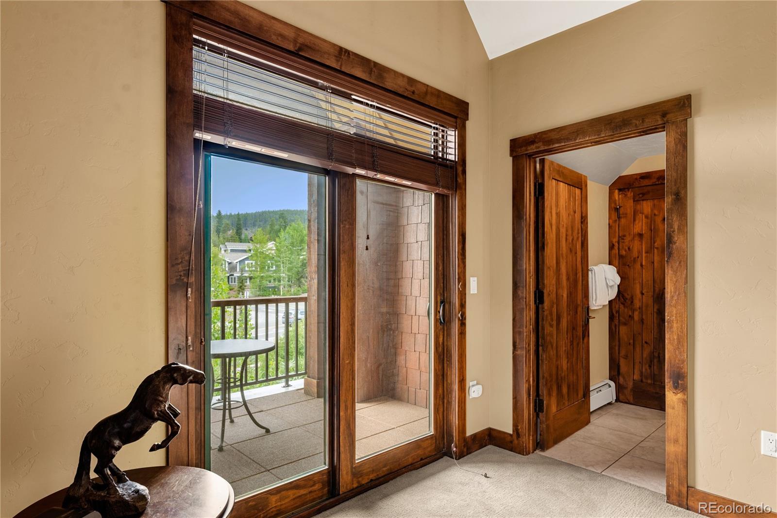 MLS Image #30 for 600  columbine road,breckenridge, Colorado