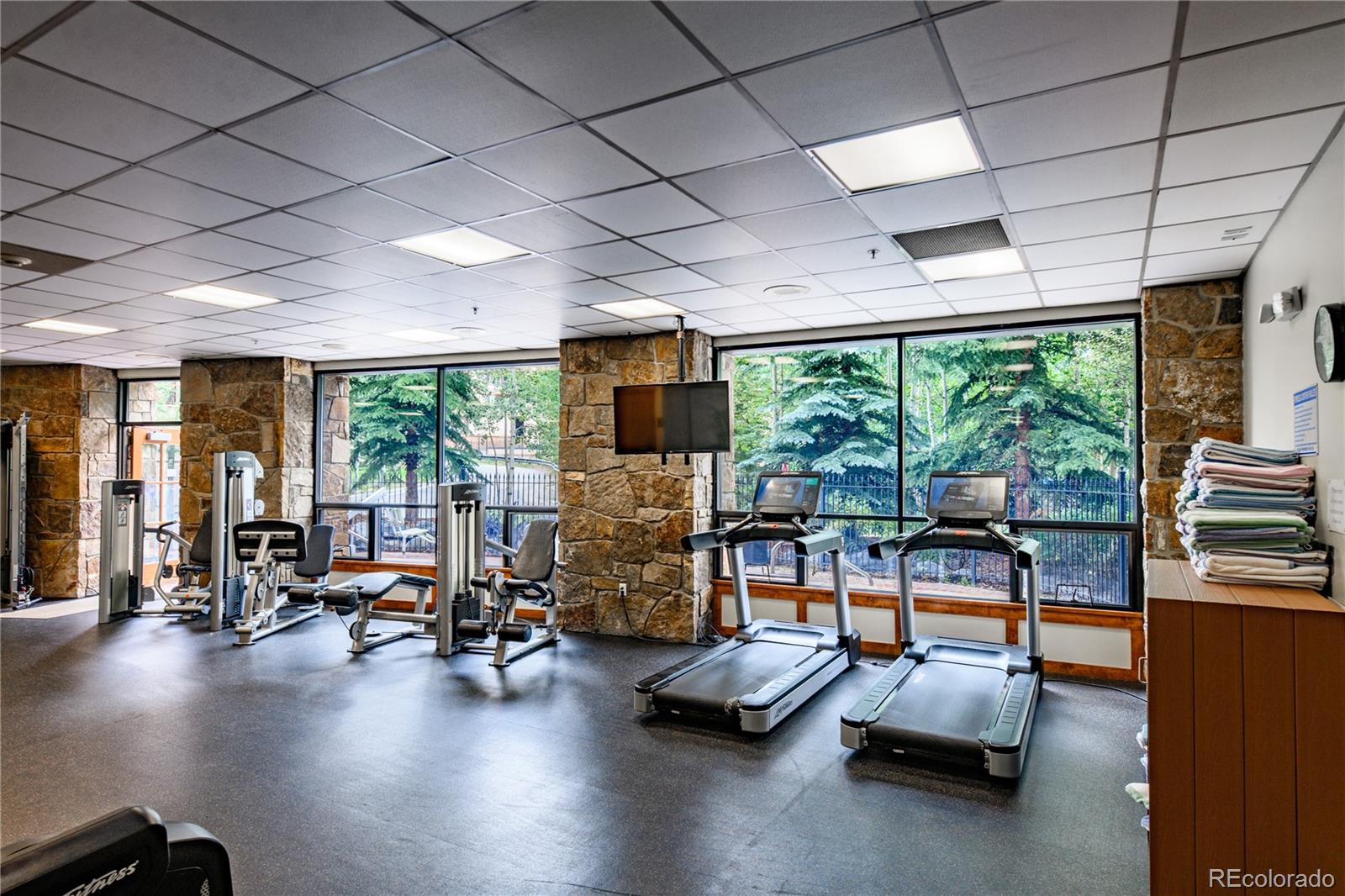 MLS Image #36 for 600  columbine road,breckenridge, Colorado
