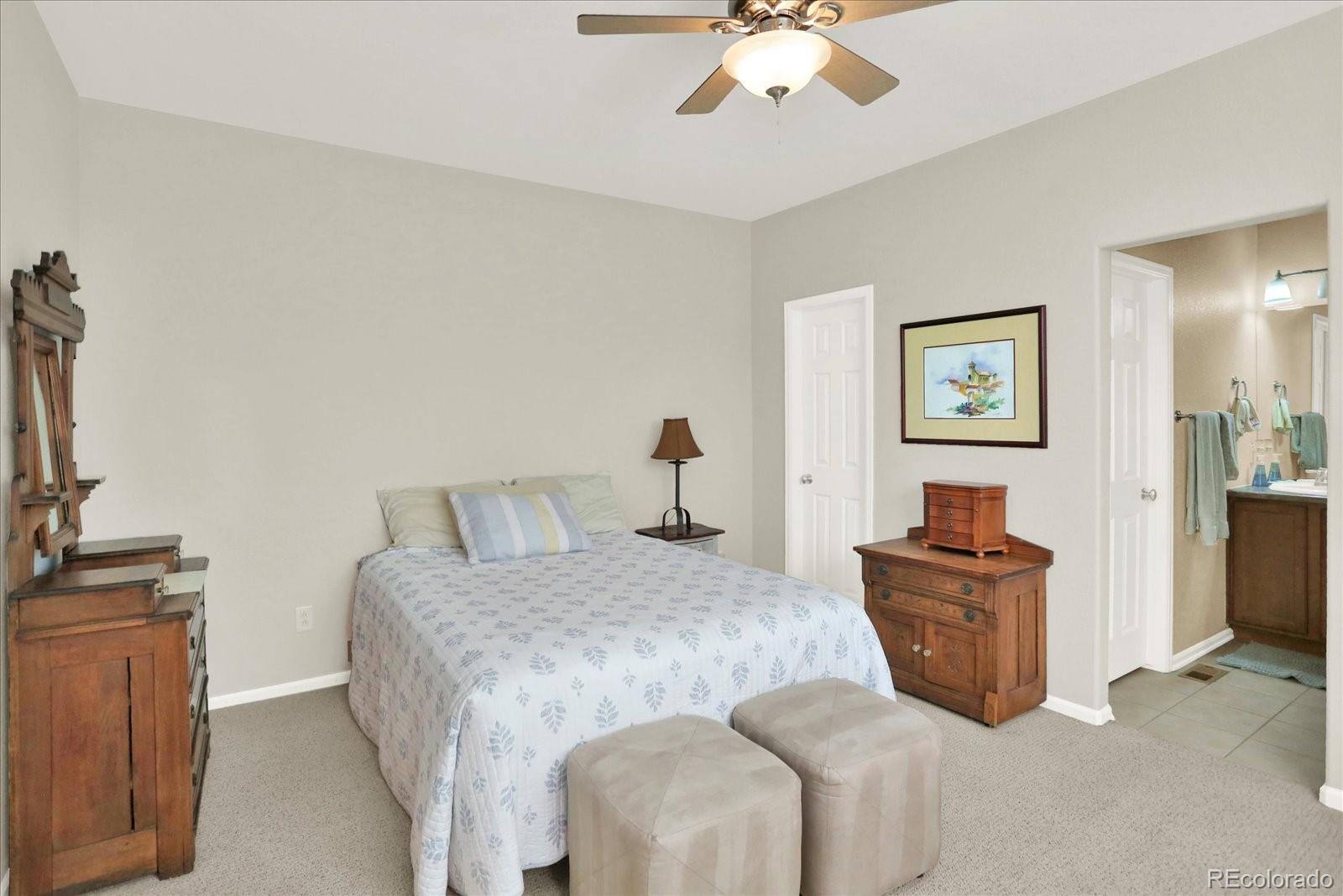 MLS Image #8 for 5071  diamond sky road ,castle rock, Colorado